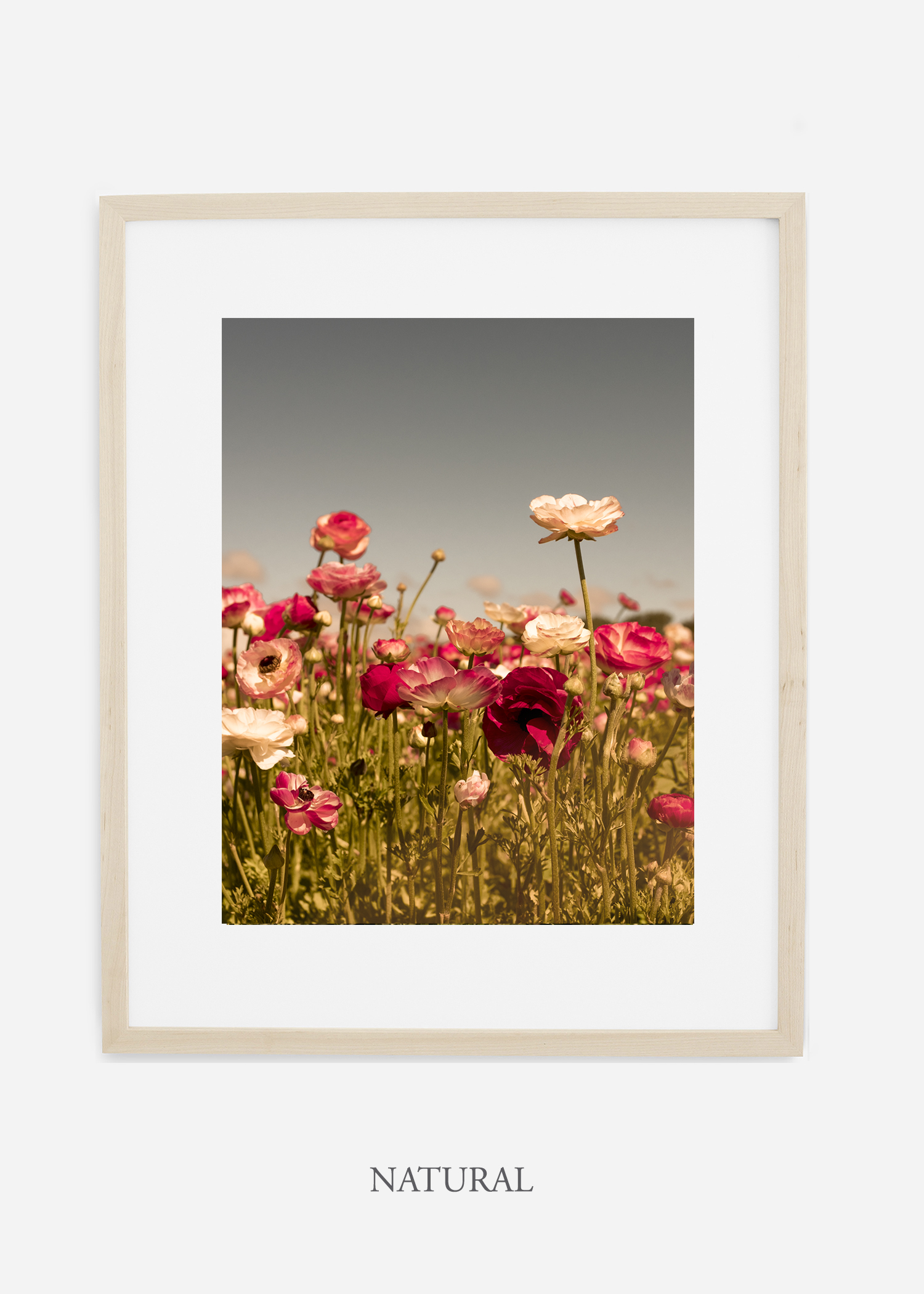 wilder-california-Floral-No.3-natural-wood-frame-mat-interior-design-botanical-print-art-floral-art.jpg