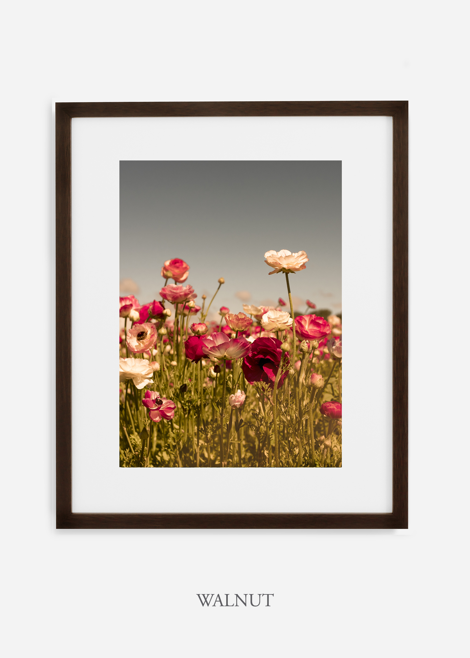 wilder-california-Floral-No.3-walnut-frame-mat-interior-design-botanical-print-art-floral-art.jpg