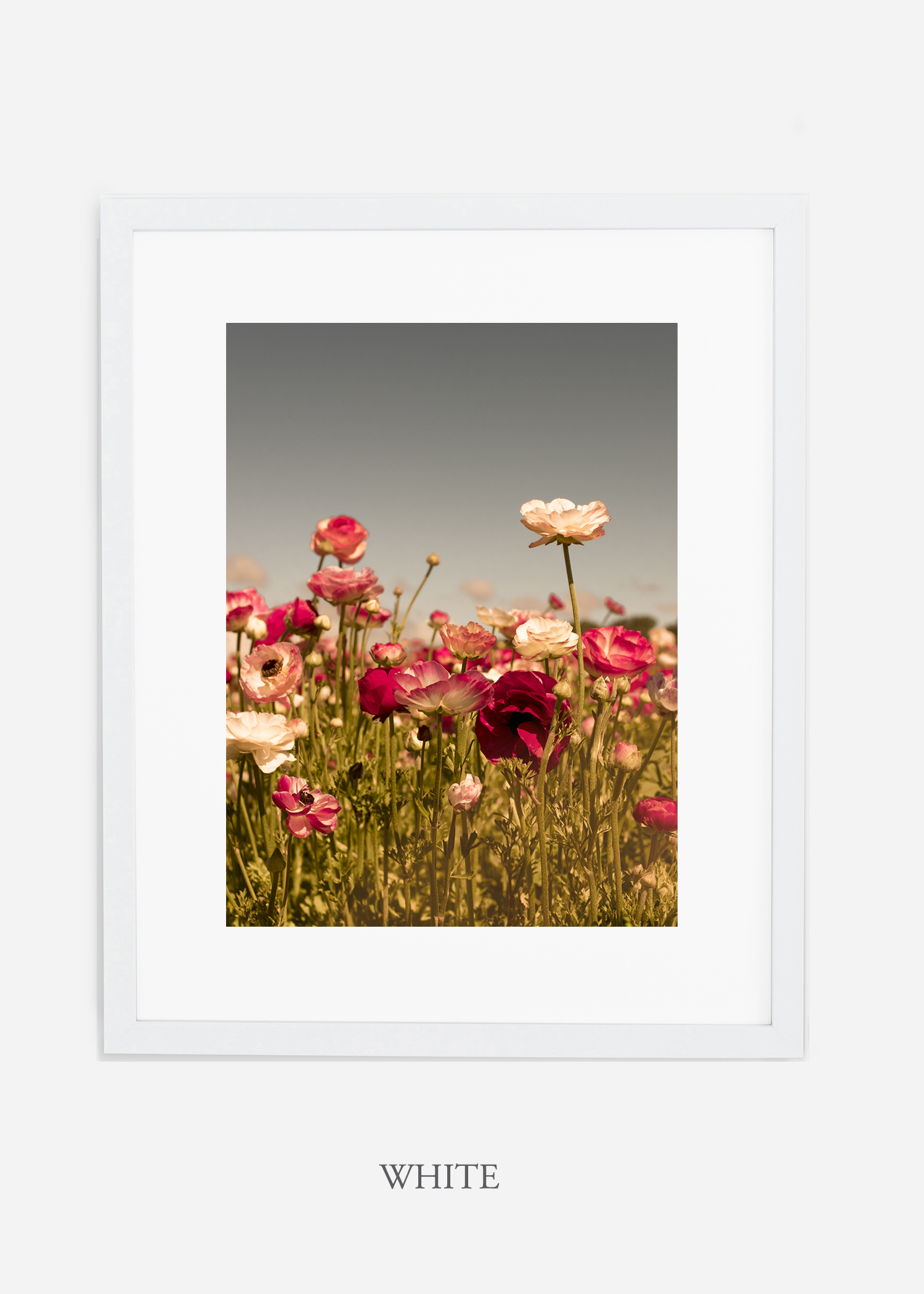 wilder-california-Floral-No.3-white-frame-mat-interior-design-botanical-print-art-floral-art.jpg