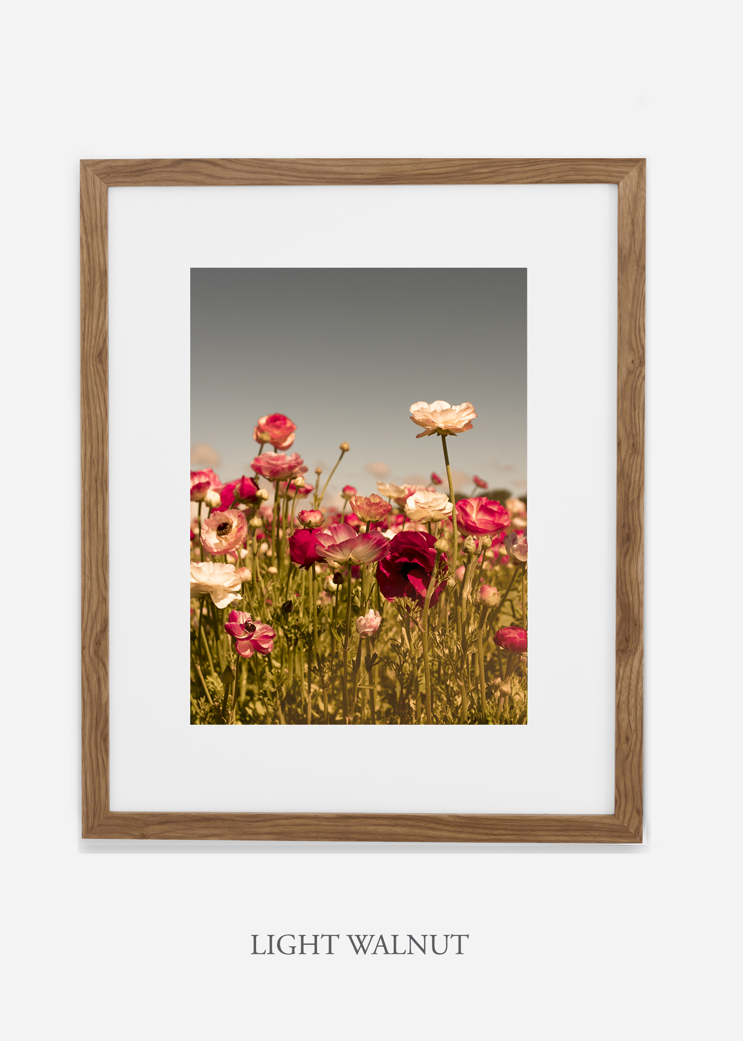 wilder-california-Floral-No.3-light-walnut-frame-mat-interior-design-botanical-print-art-floral-art.jpg