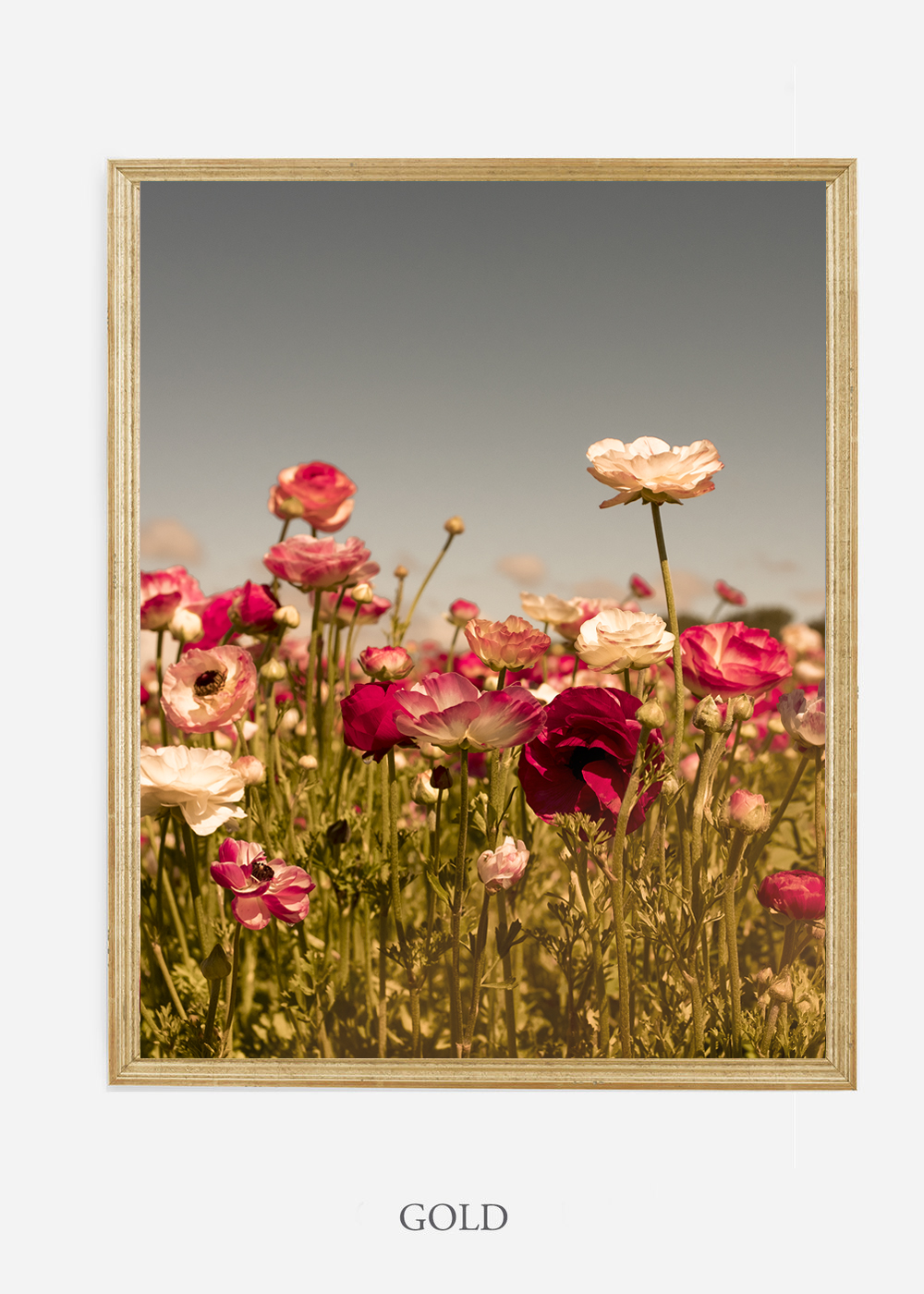 wilder-california-Floral-No.3-gold-frame-no-mat-interior-design-botanical-print-art-floral-art.jpg