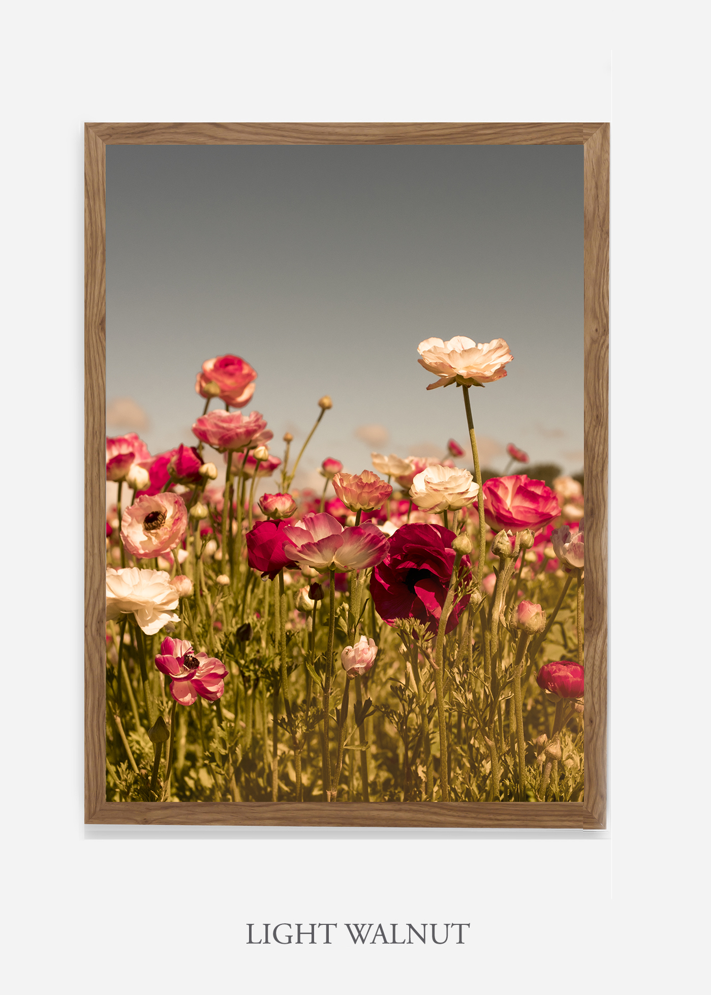 wilder-california-Floral-No.3-light-walnut-frame-no-mat-interior-design-botanical-print-art-floral-art.jpg