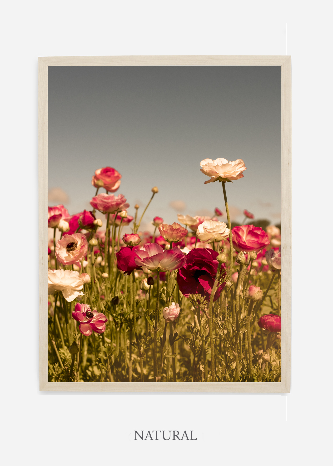 wilder-california-Floral-No.3-natural-frame-no-mat-interior-design-botanical-print-art-floral-art.jpg