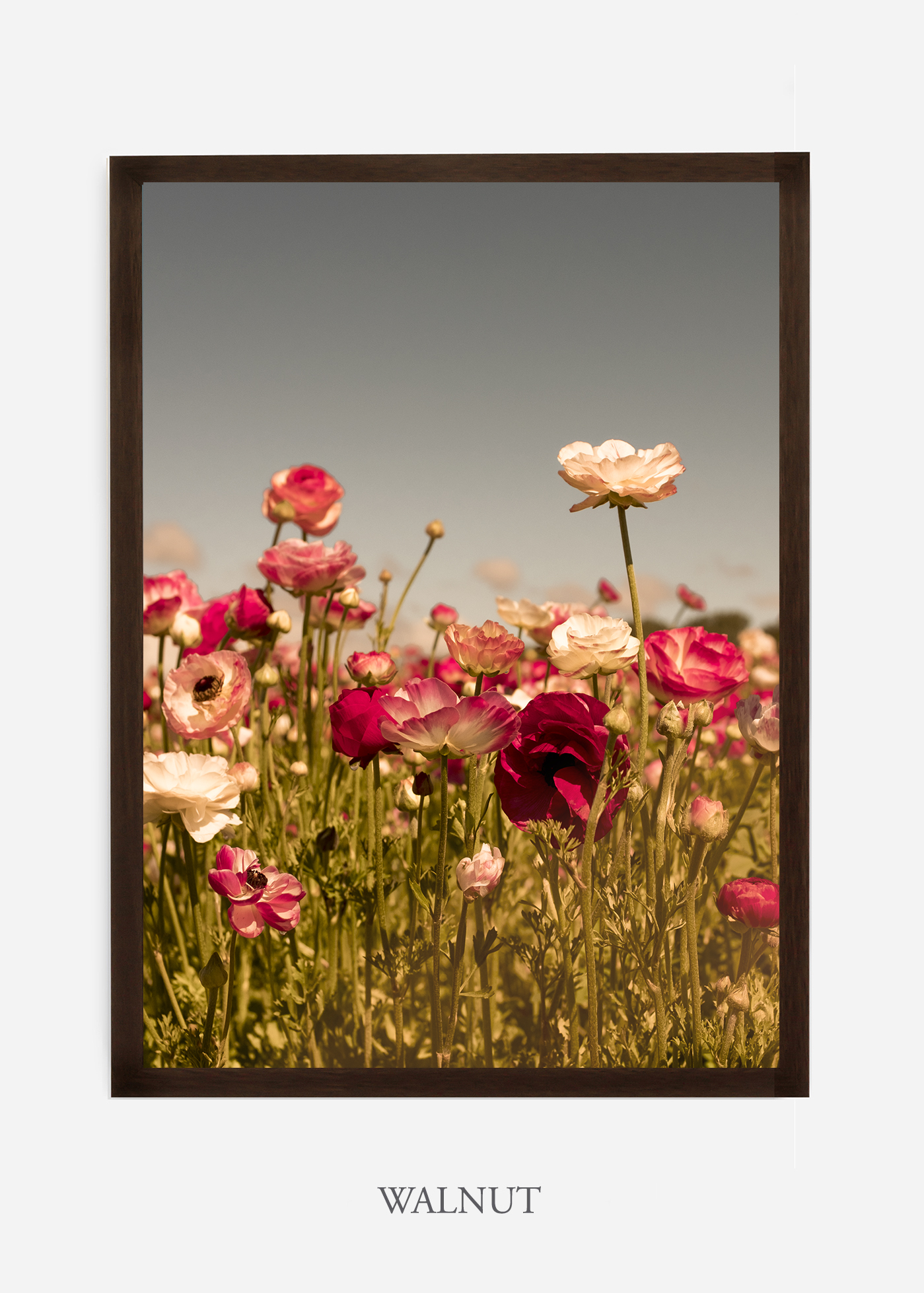 wilder-california-Floral-No.3-walnut-frame-no-mat-interior-design-botanical-print-art-floral-art.jpg