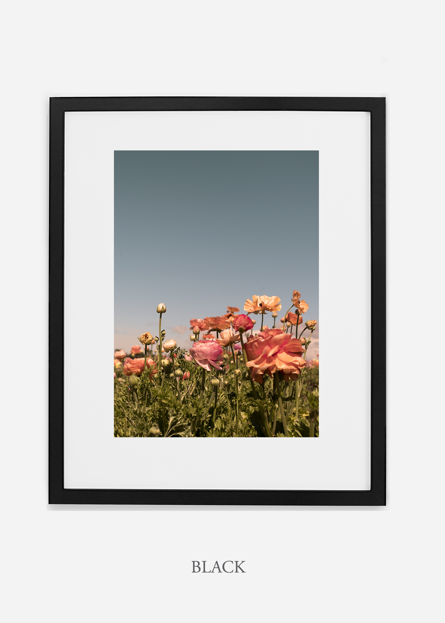 FloraNo.1_blackframe__mat_interiordesign_botanicalprint_art.jpg