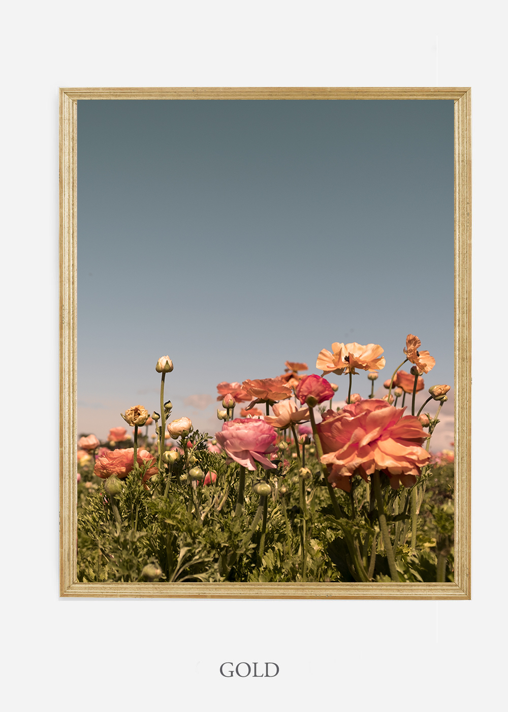 NoMat-Gold-Frame-Floral-No-1-Wilder-California-Art-Floral-Home-decor-Prints-Dahlia-Botanical-Artwork-Interior-design.jpg