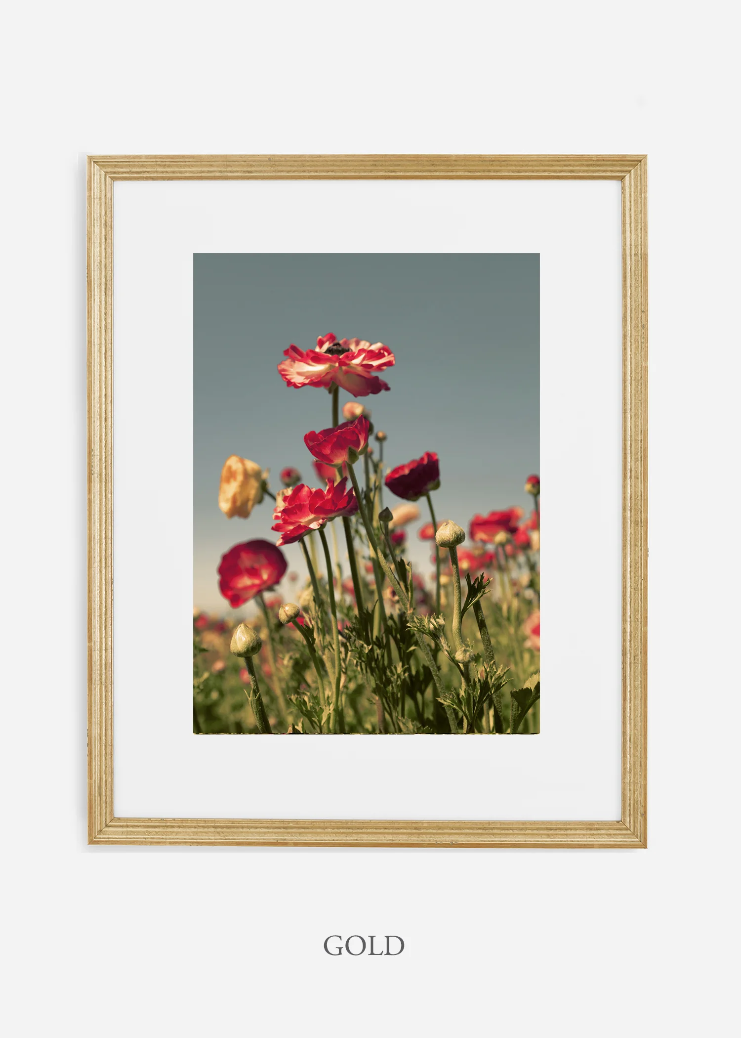 wilder-california-flora-pastel-botanical-wall-decor.jpg