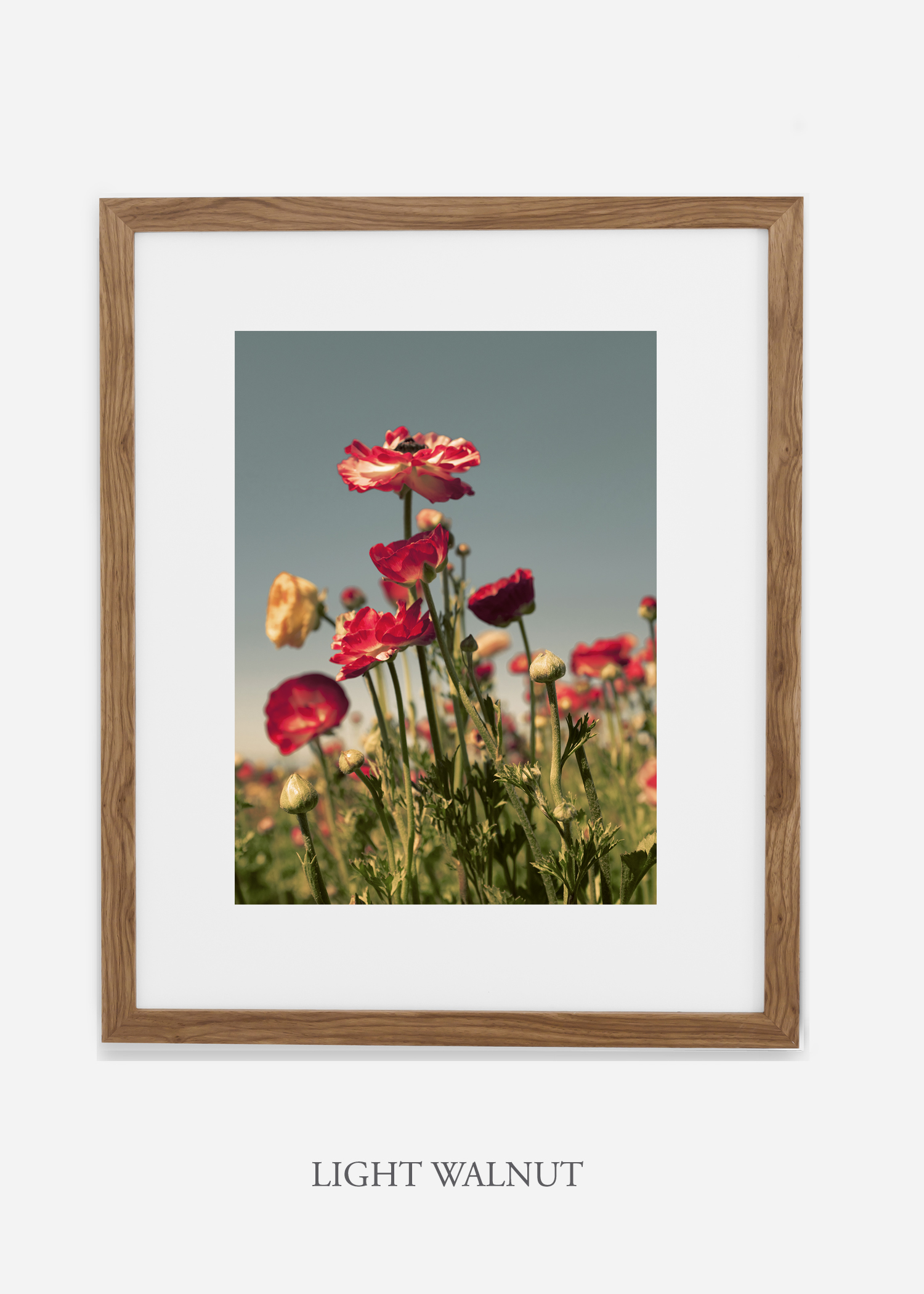 wilder-california-flora-pastel-botanical-wall-decor.jpg