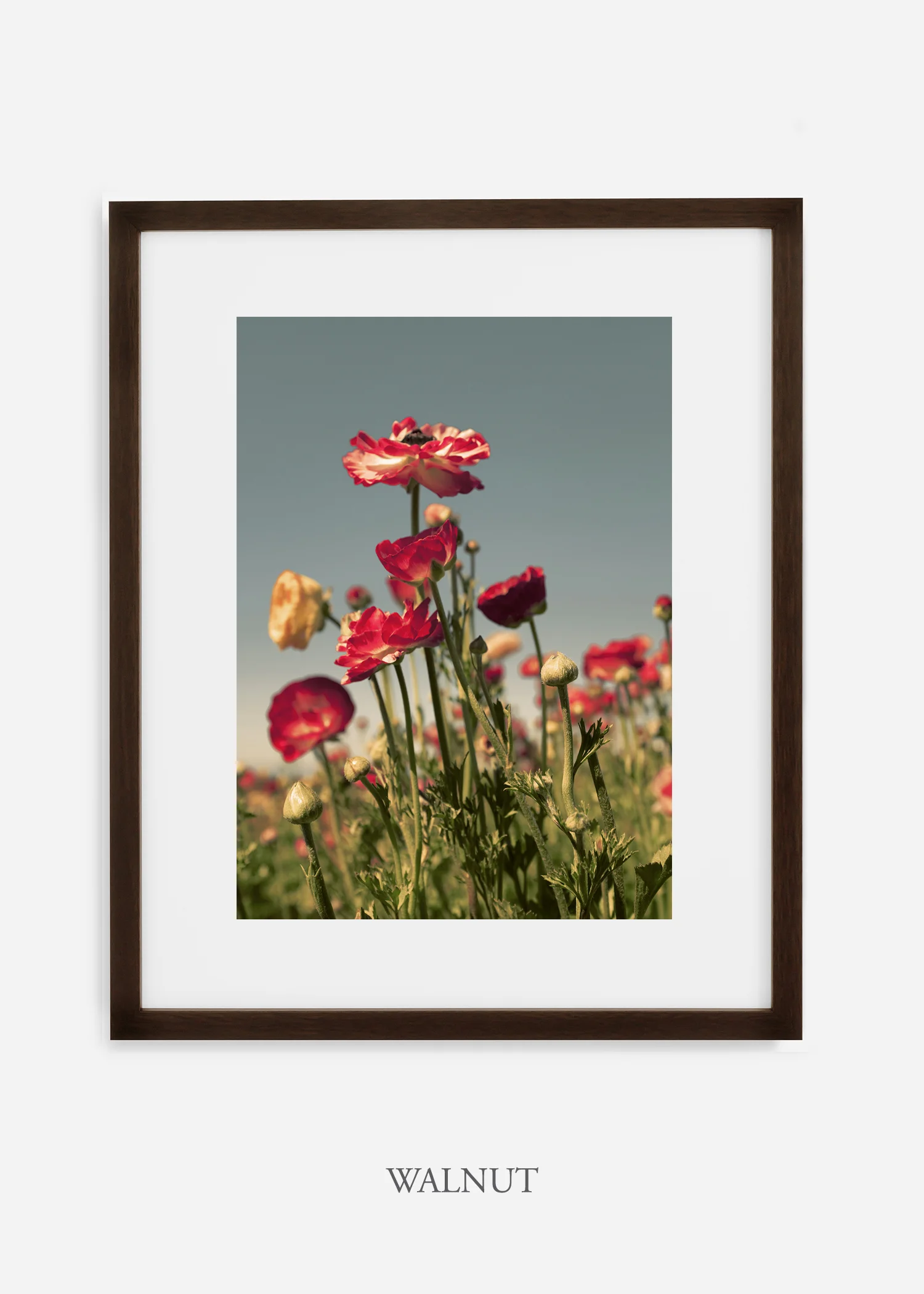 wilder-california-flora-pastel-botanical-wall-decor.jpg