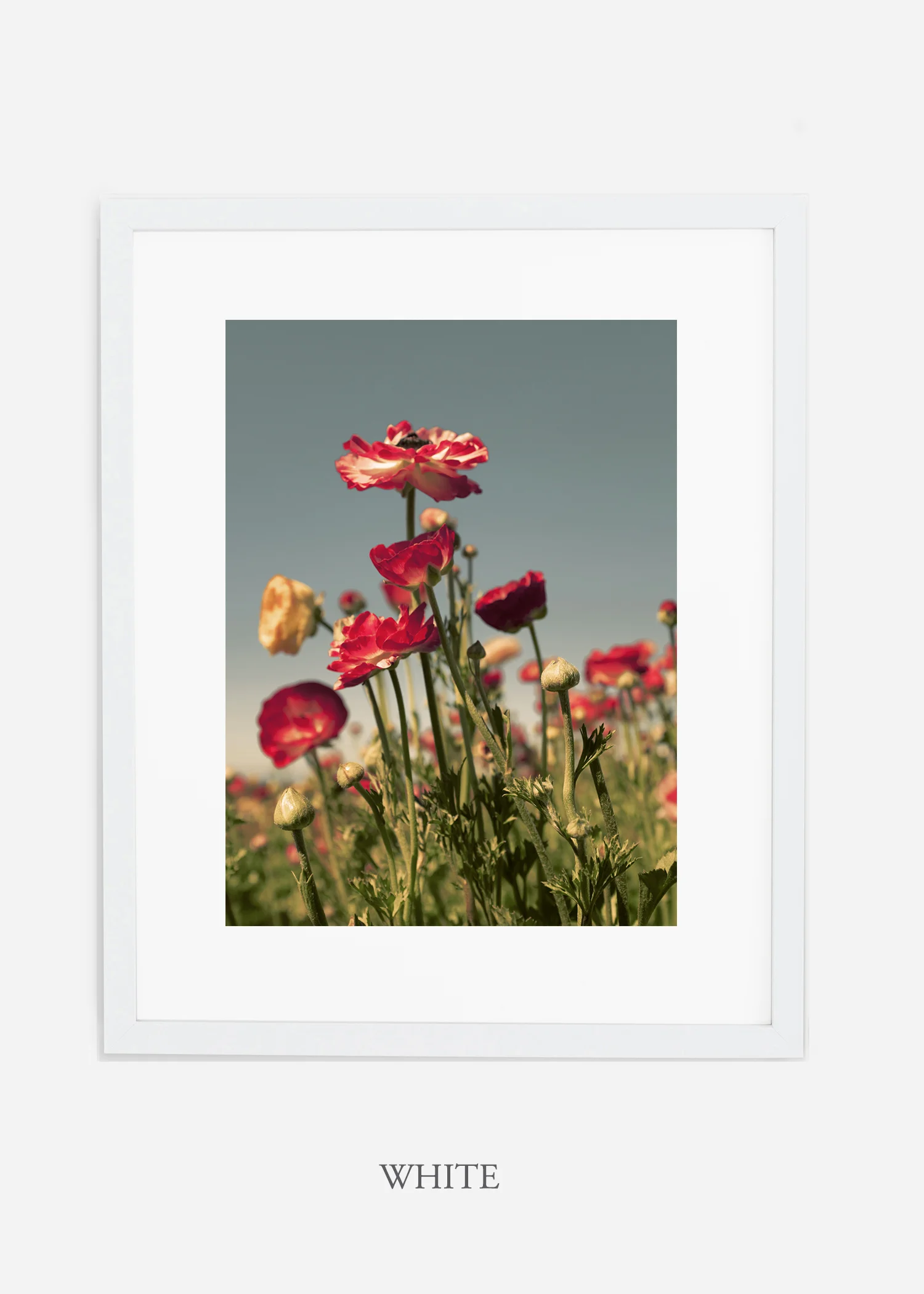 wilder-california-flora-pastel-botanical-wall-decor.jpg