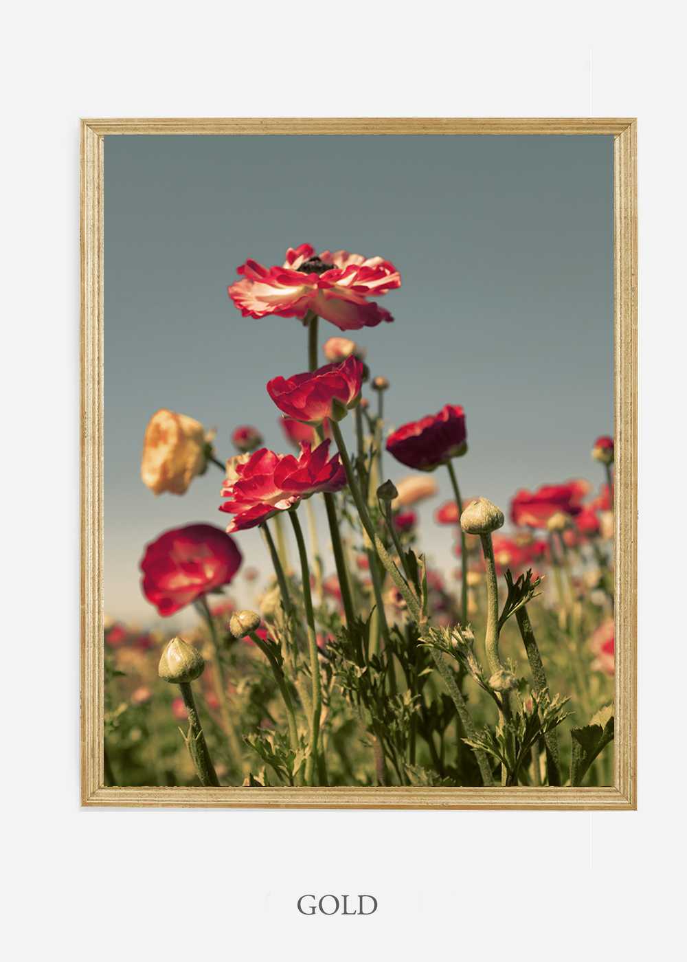 NoMat-Gold-Frame-Floral-No-4-Wilder-California-Art-Floral-Home-decor-Prints-Dahlia-Botanical-Artwork-Interior-design.jpg