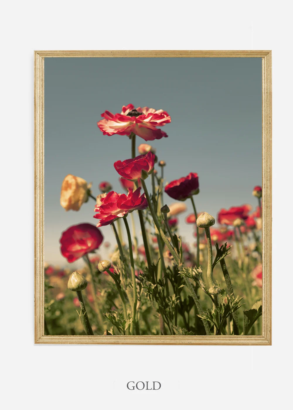 wilder-california-flora-pastel-botanical-wall-decor.jpg