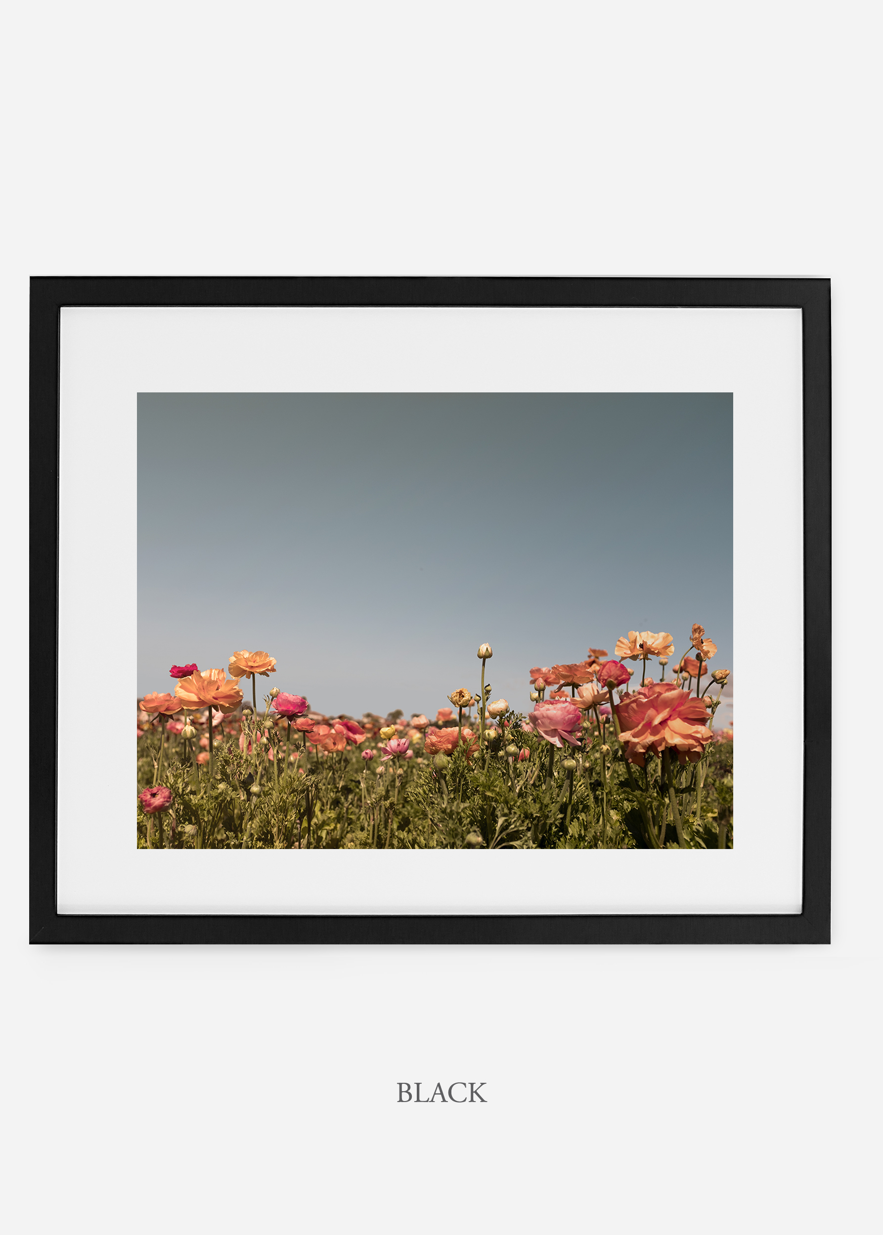 wilder-california-black-frame-flora-5-minimal-botanical-print-art-interior-design.jpg