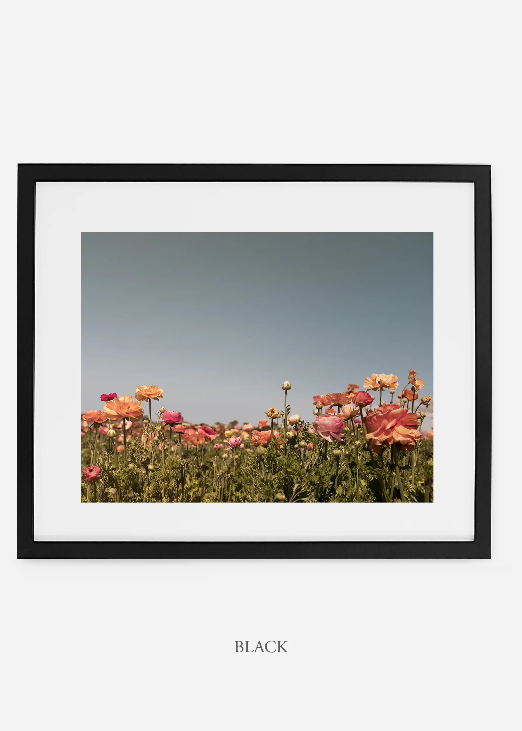 wilder-california-flora-garden-bloom-wall-art.jpg