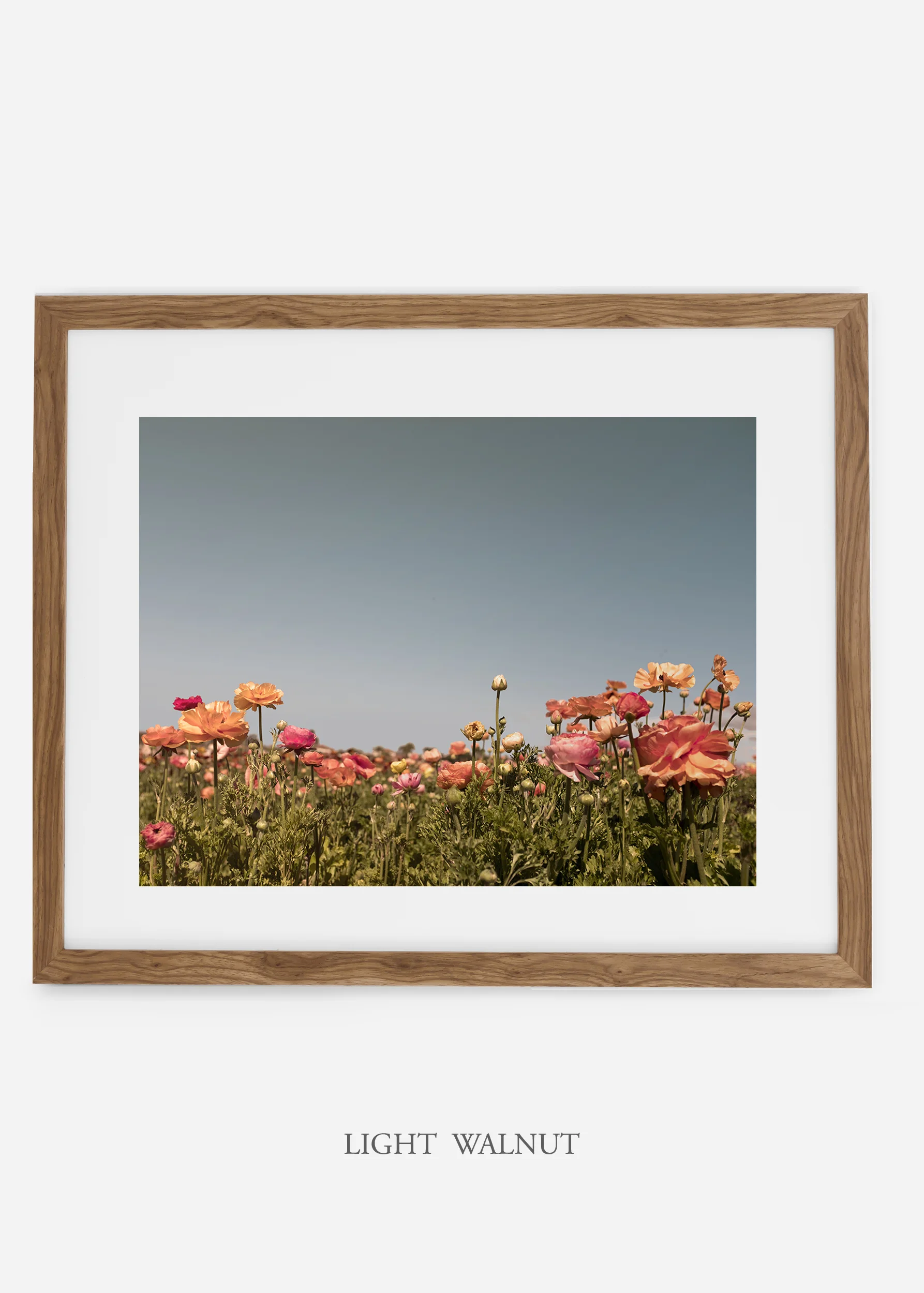 wilder-california-flora-garden-bloom-wall-art.jpg