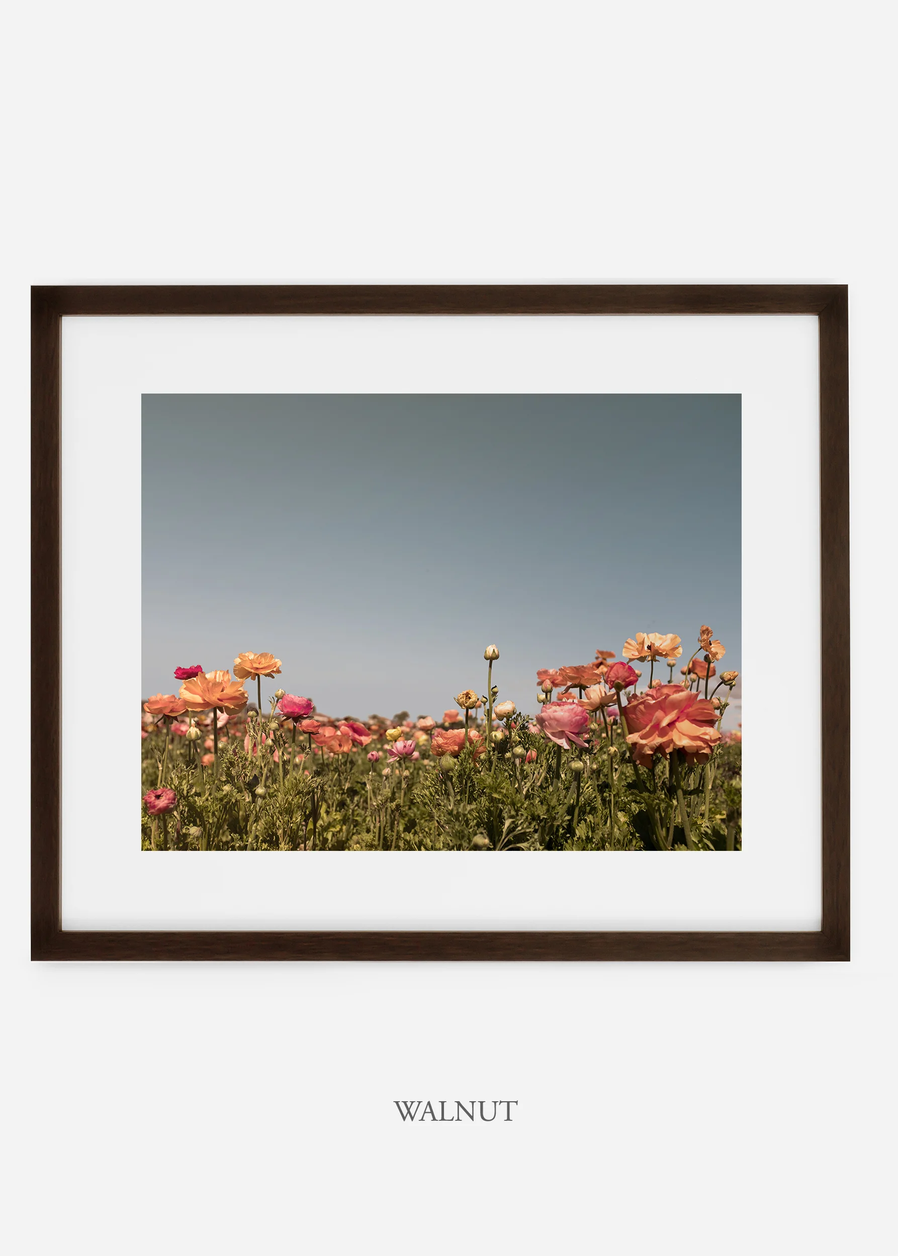 wilder-california-flora-garden-bloom-wall-art.jpg