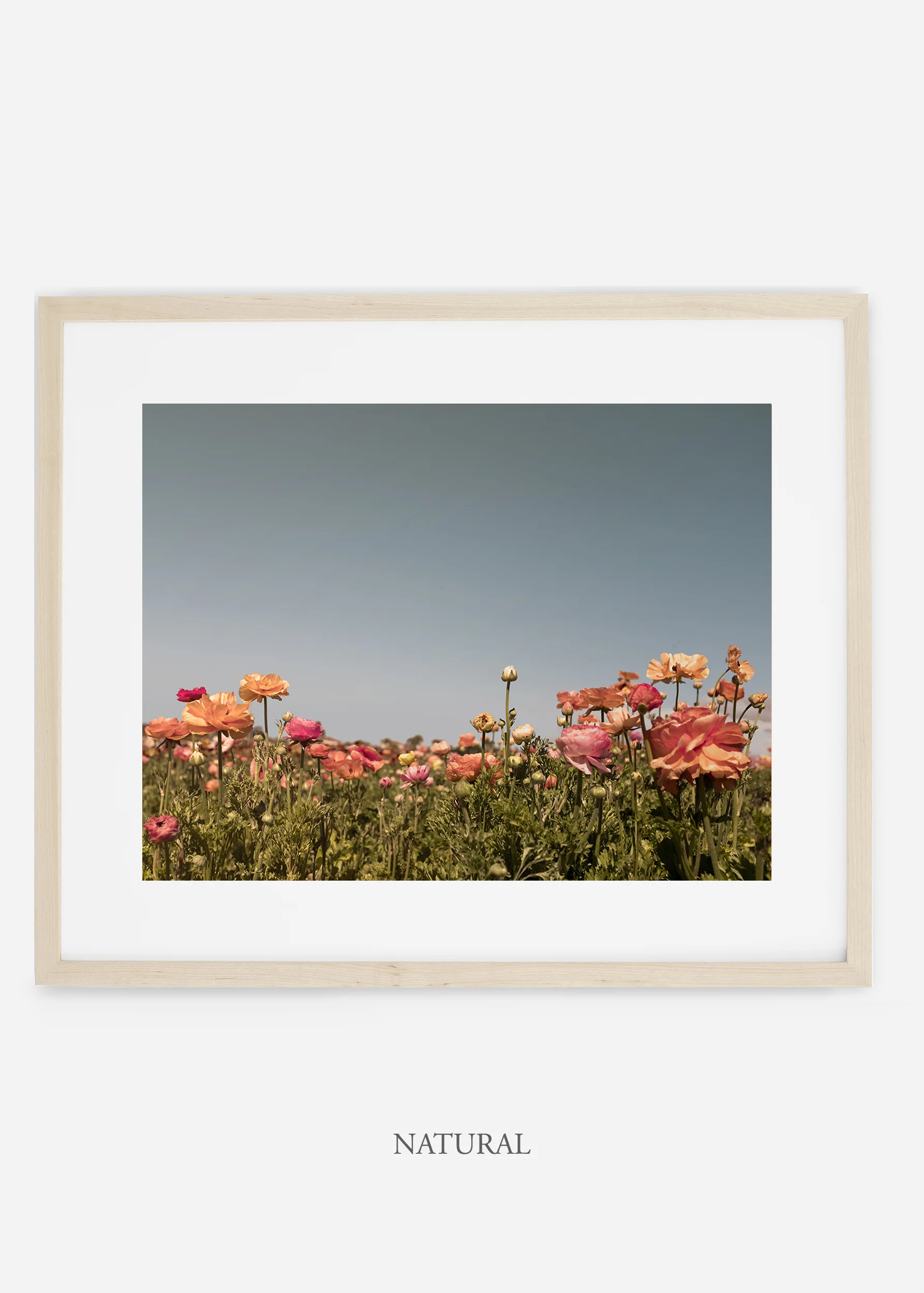 wilder-california-flora-garden-bloom-wall-art.jpg
