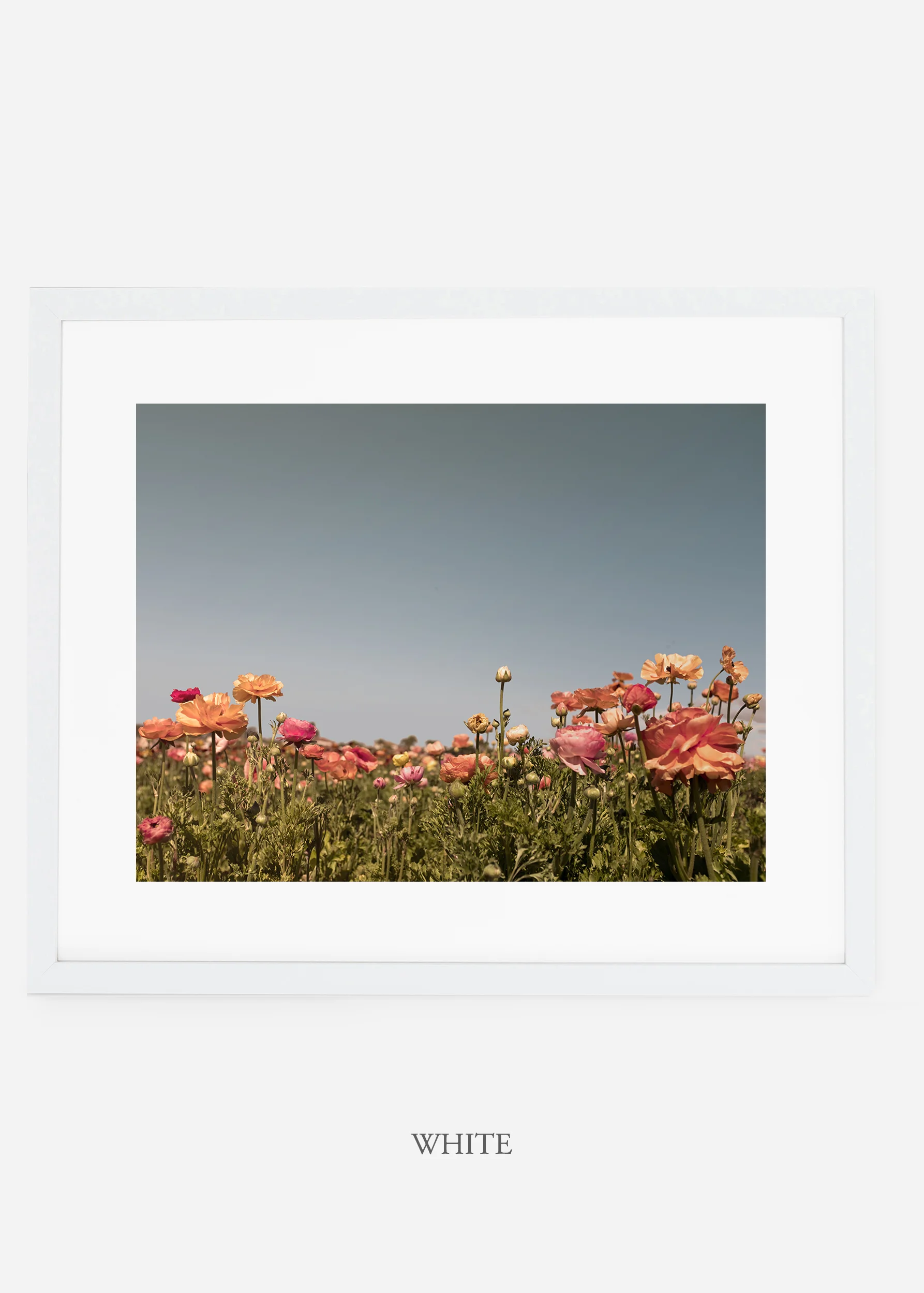 wilder-california-flora-garden-bloom-wall-art.jpg