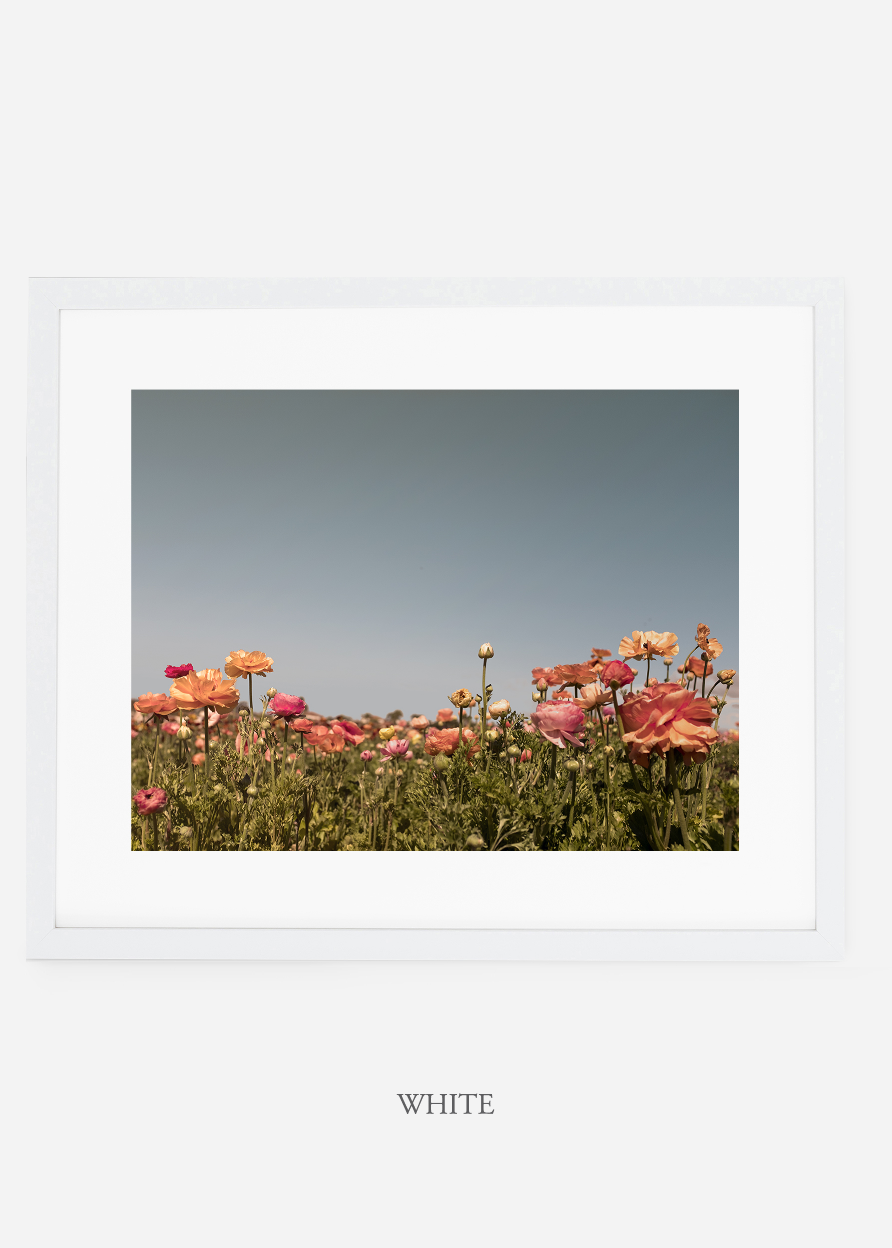 wilder-california-white-frame-flora-5-minimal-botanical-print-art-interior-design.jpg