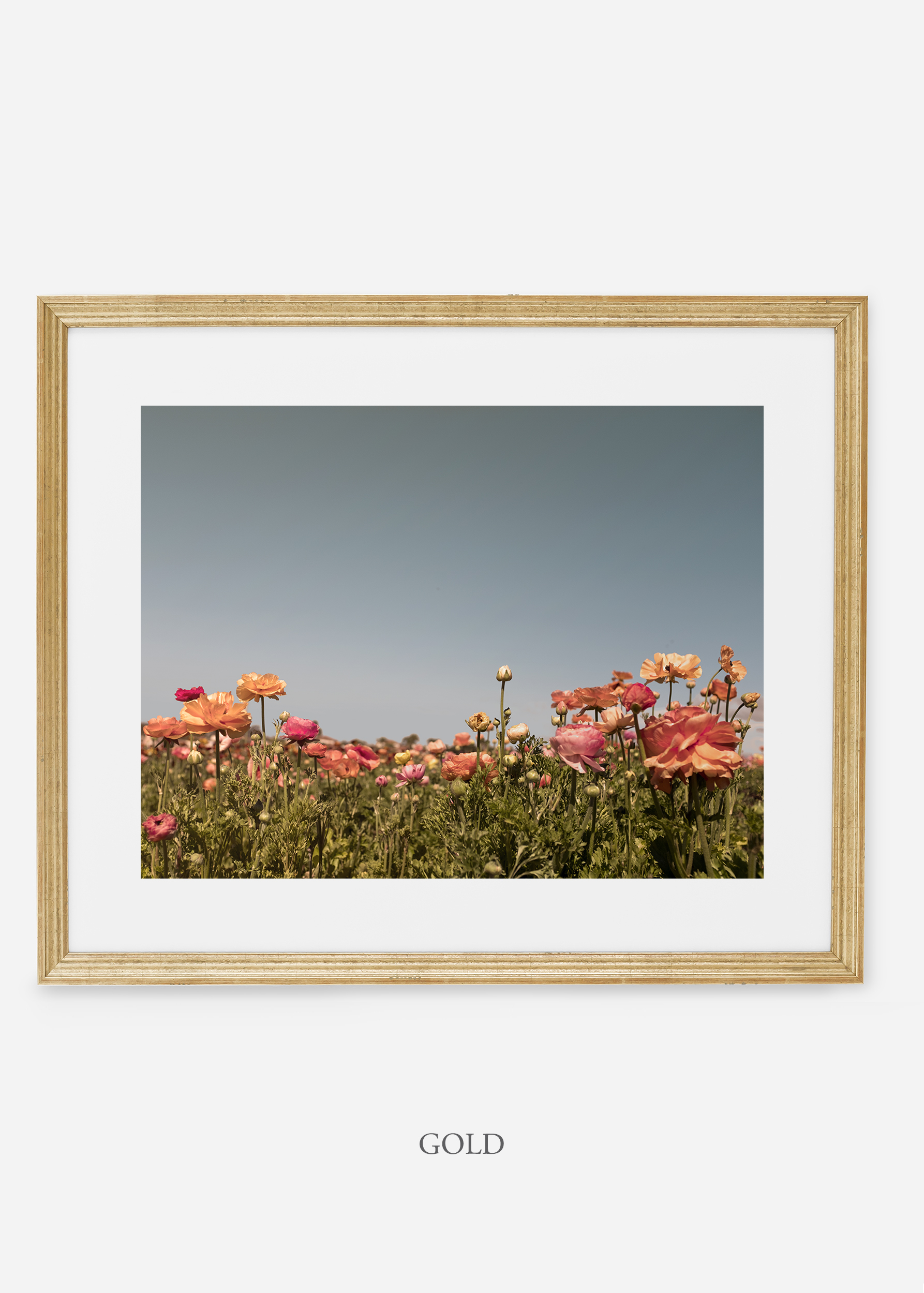 wilder-california-goldl-frame-flora-5-minimal-botanical-print-art-interior-design.jpg
