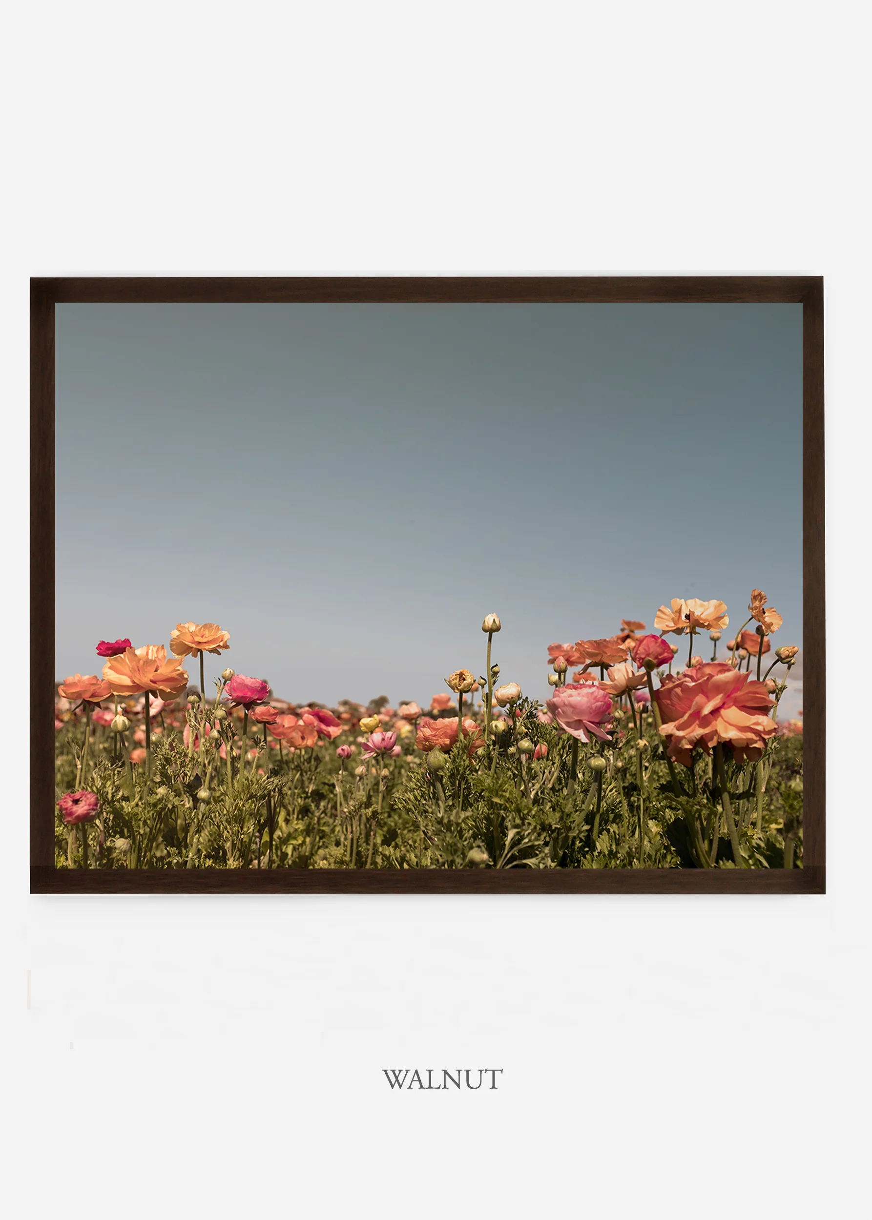 wilder-california-flora-garden-bloom-wall-art.jpg