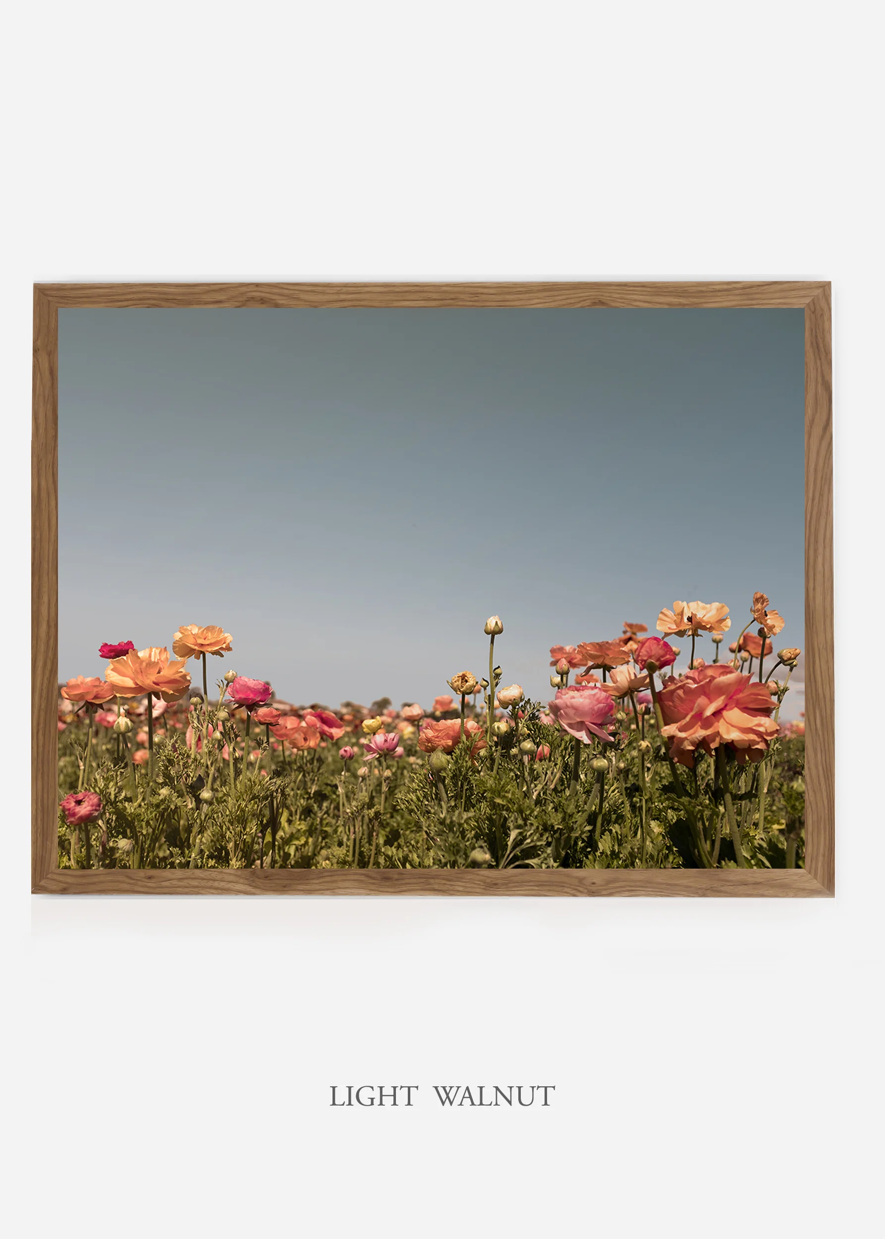 wilder-california-flora-garden-bloom-wall-art.jpg