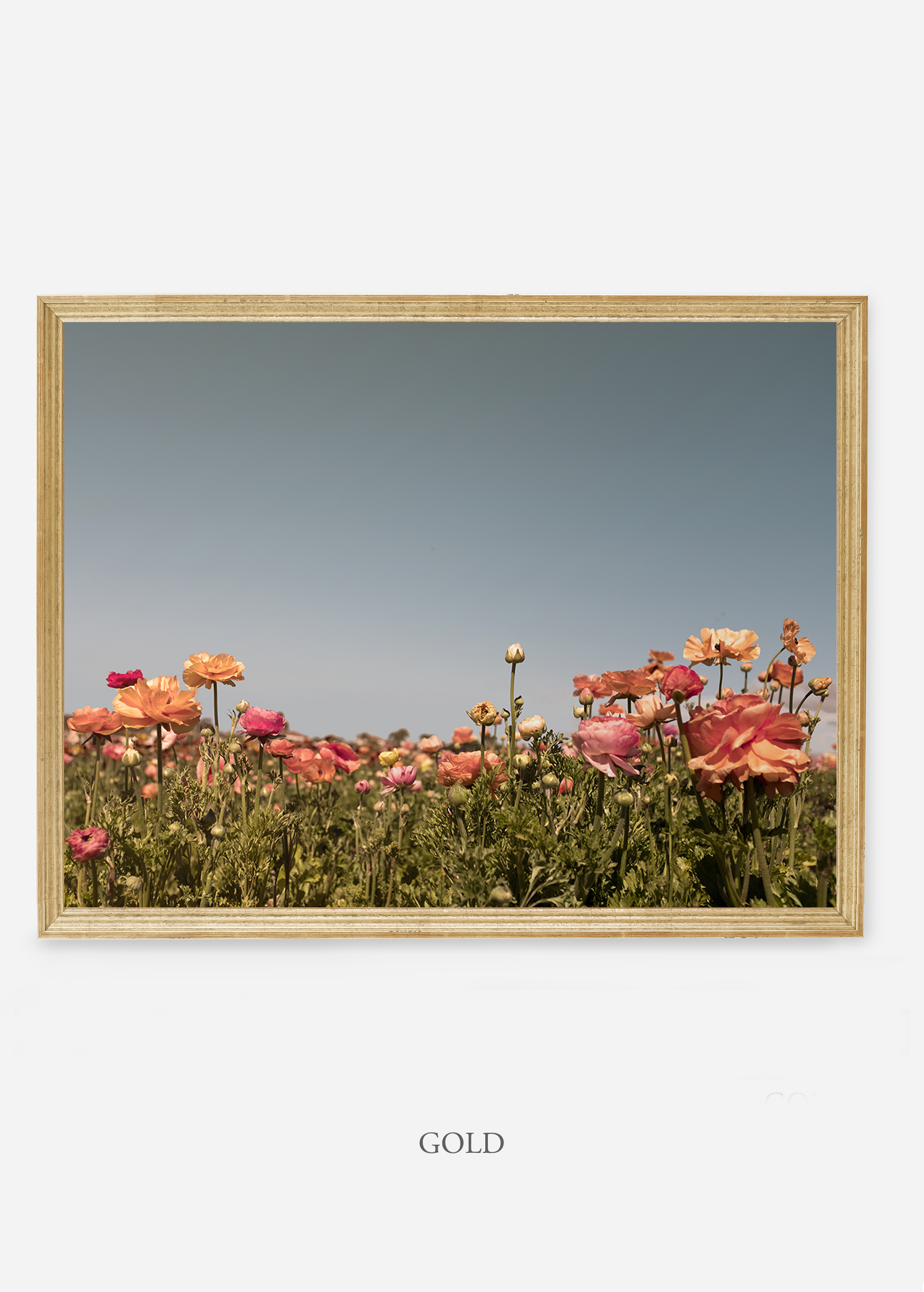 NoMat-GoldFrame-Floral-5-Wilder-California-Art-Floral-Home-decor-Prints-Dahlia-Botanical-Artwork-Interior-design.jpg