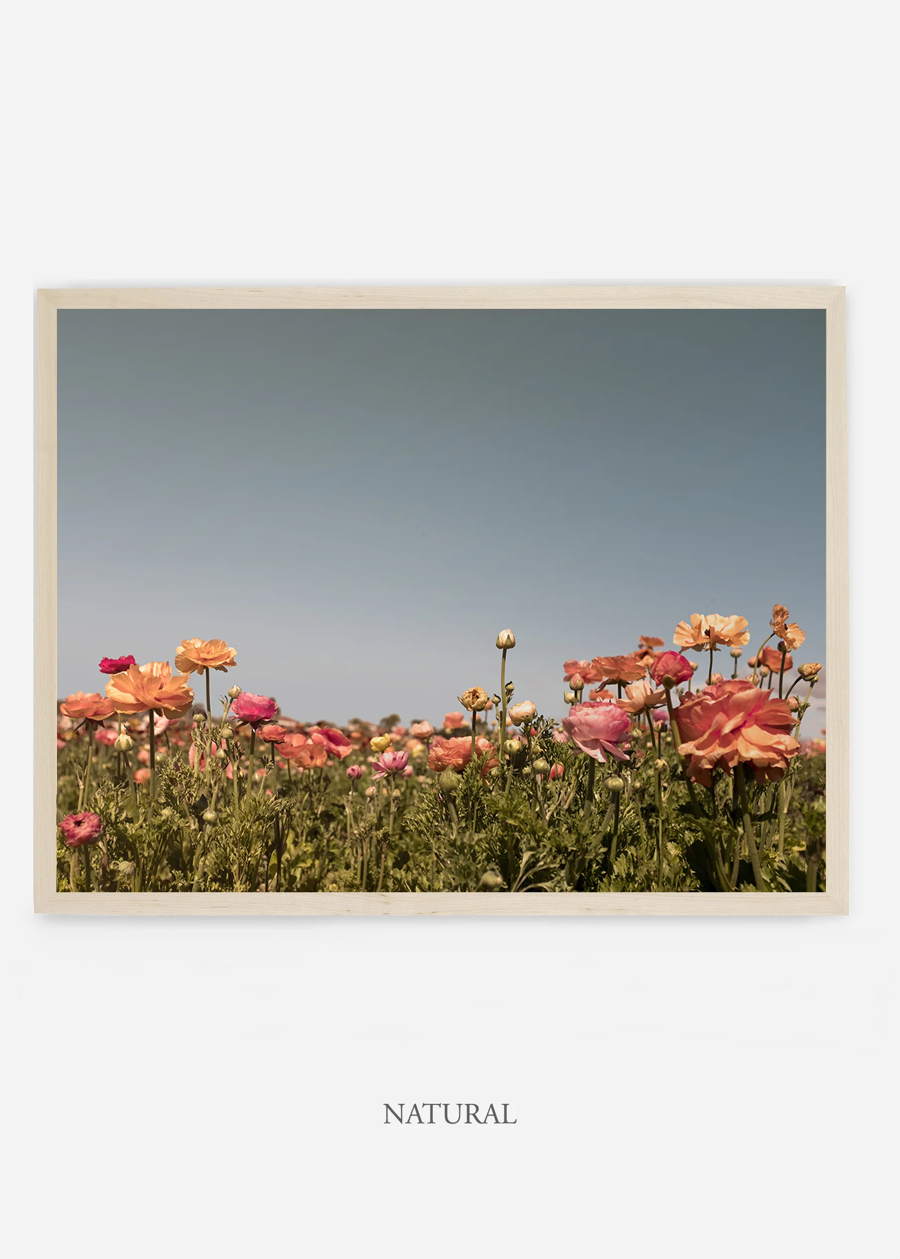 wilder-california-flora-garden-bloom-wall-art.jpg