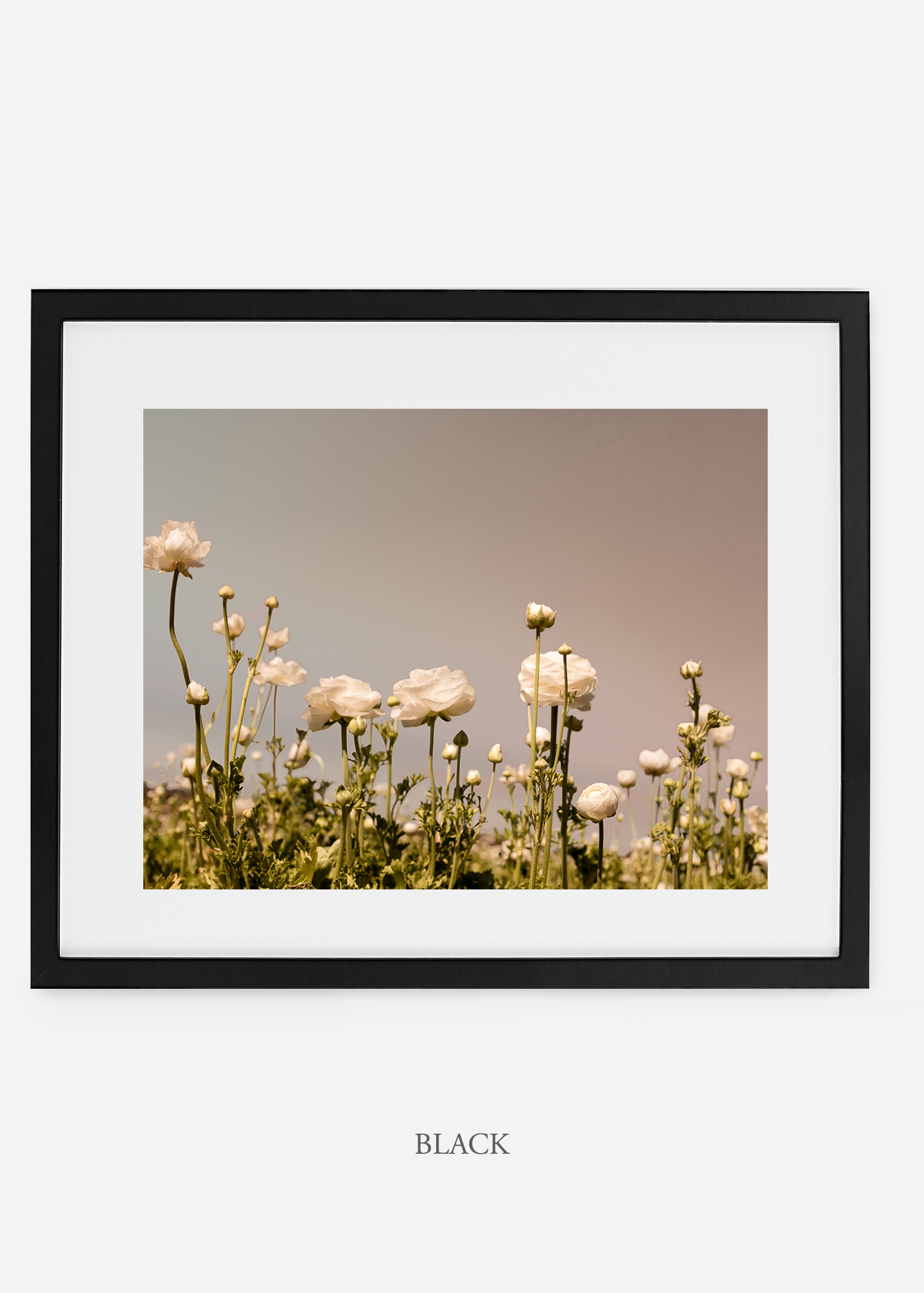 wilder-california-flora-botanical-fine-art-print.jpg
