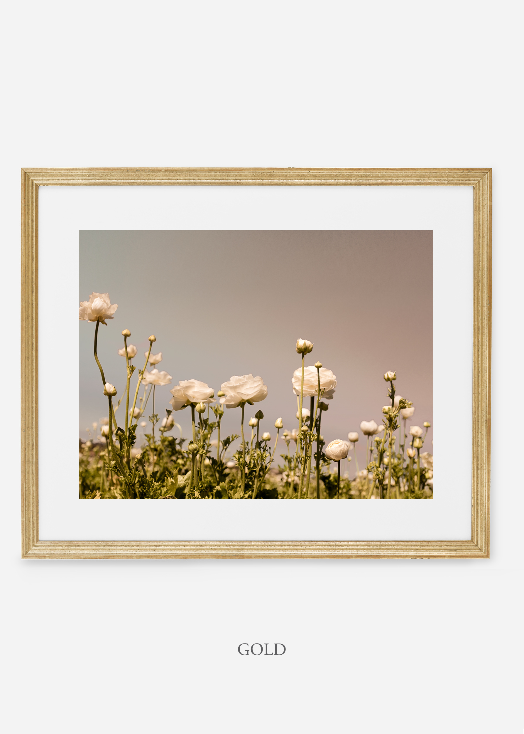wilder-california-goldl-frame-flora-6-minimal-botanical-print-art-interior-design.jpg