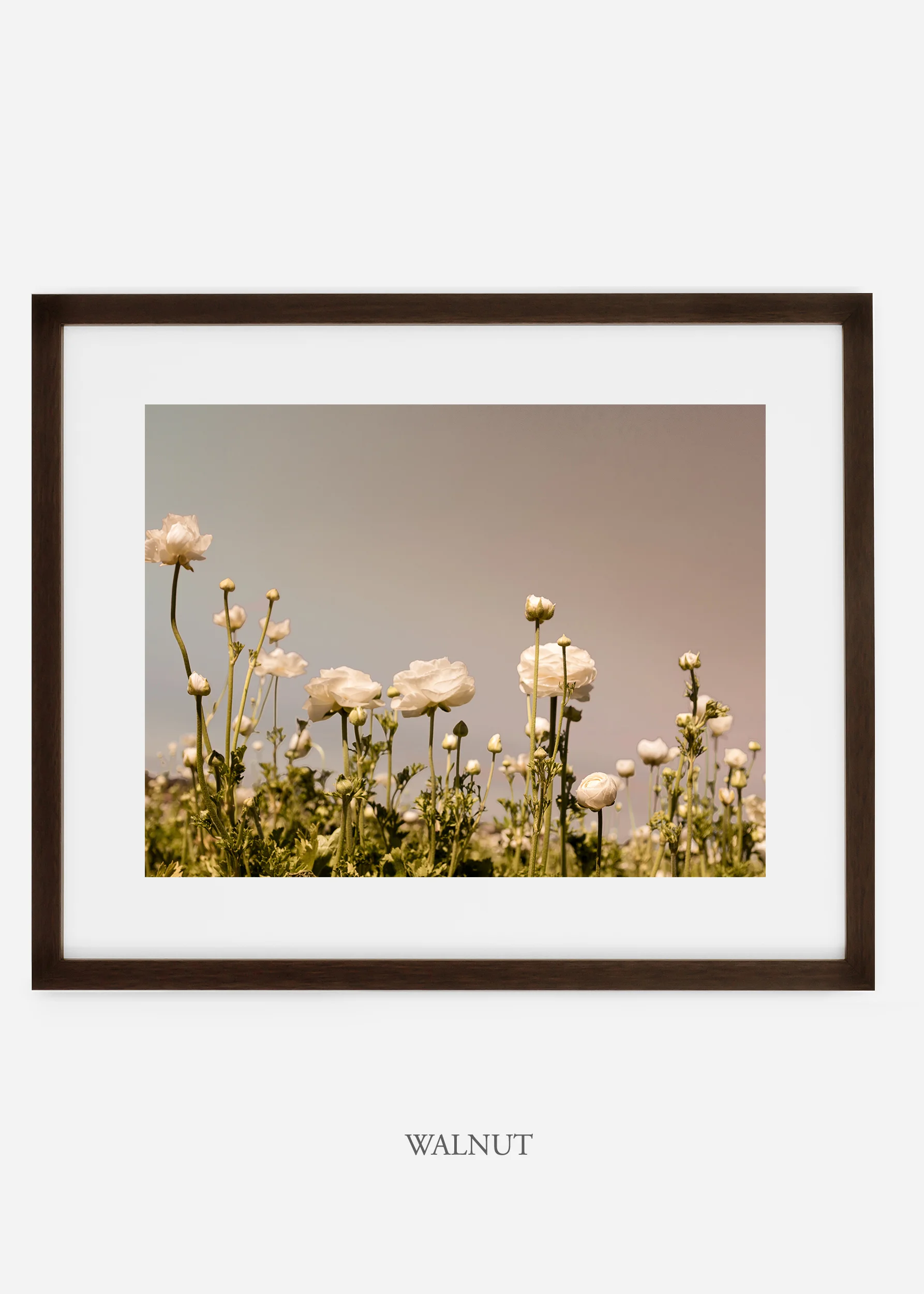 wilder-california-flora-botanical-fine-art-print.jpg
