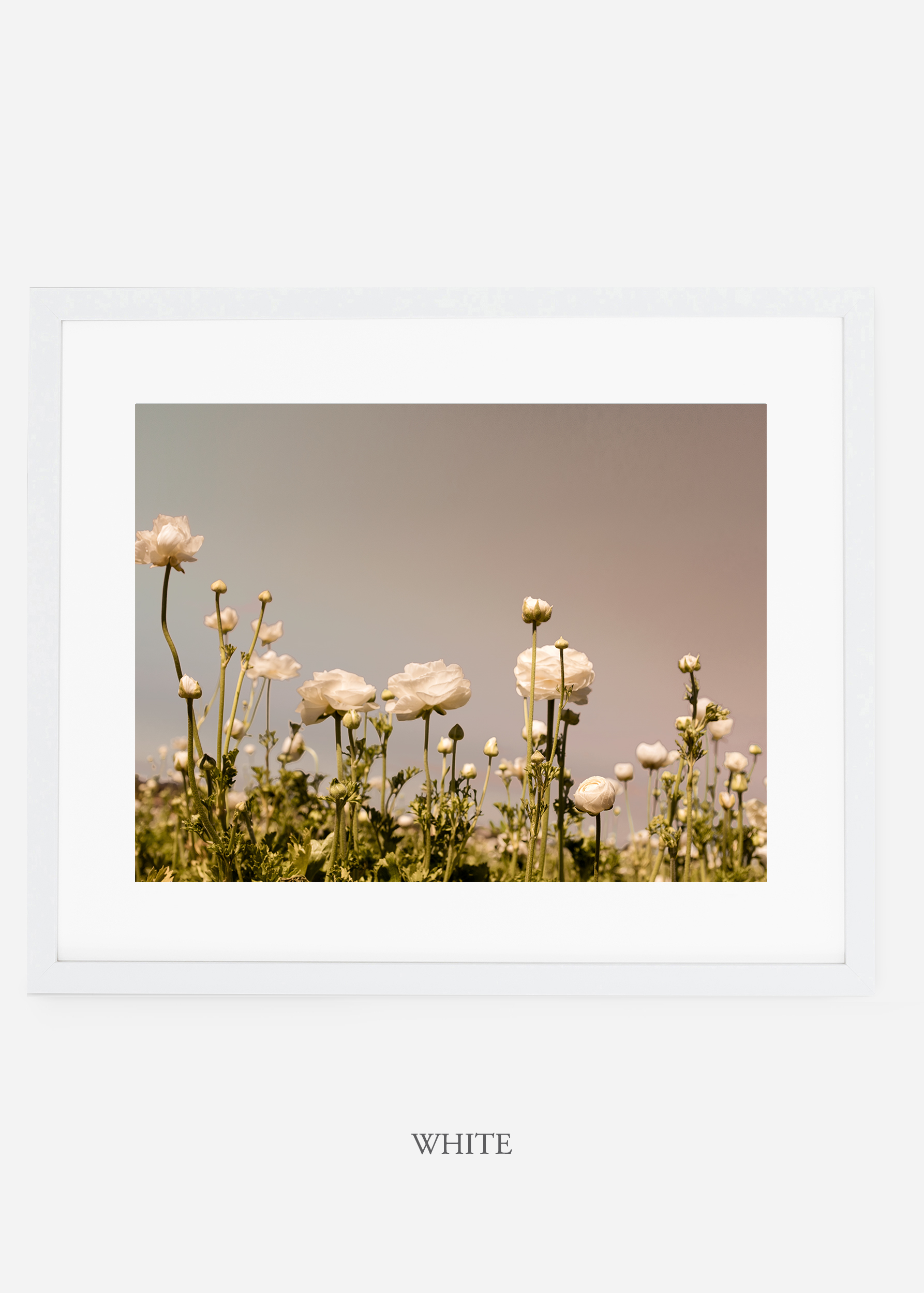 wilder-california-white-frame-flora-6-minimal-botanical-print-art-interior-design.jpg