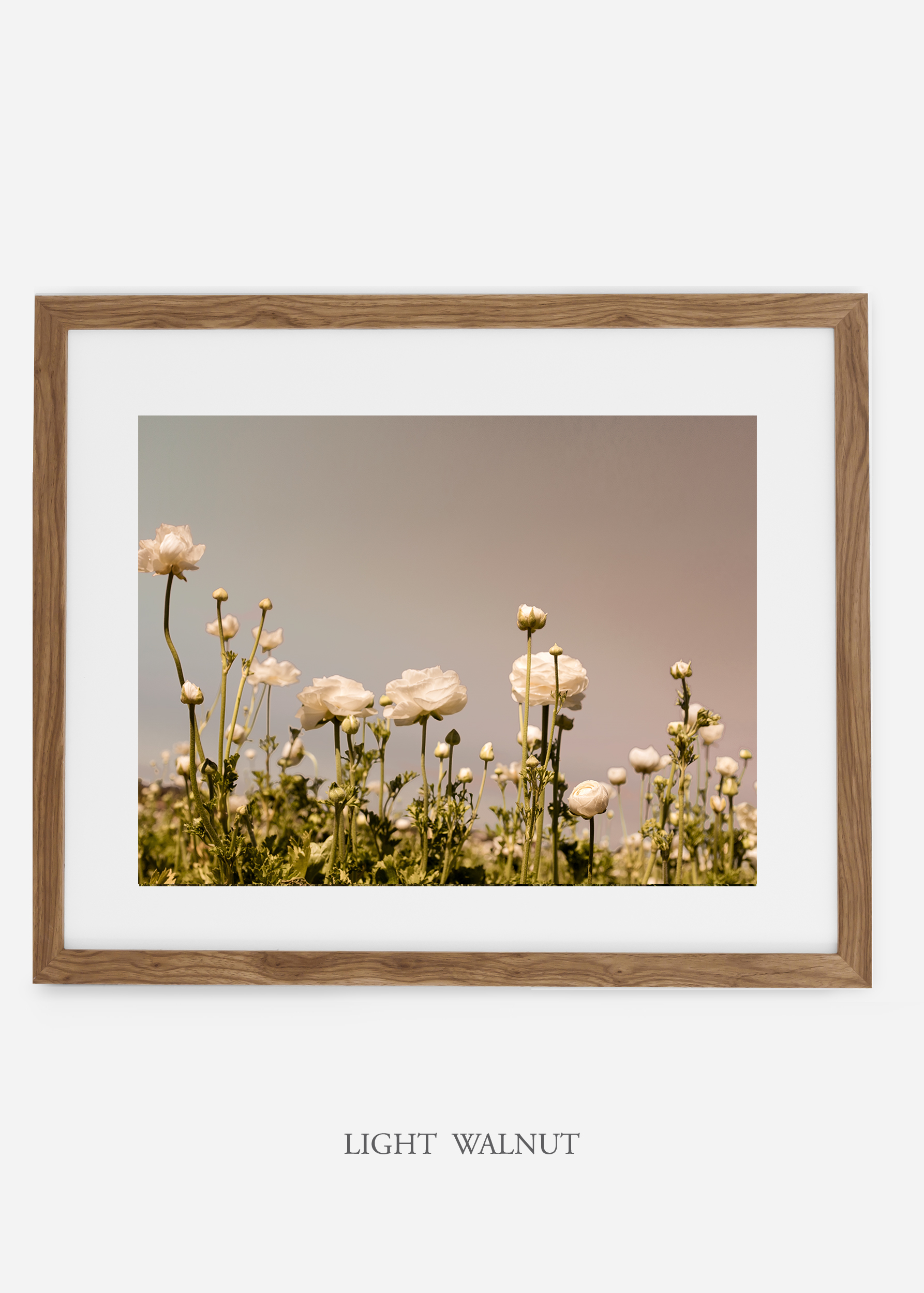 wilder-california-flora-botanical-fine-art-print.jpg