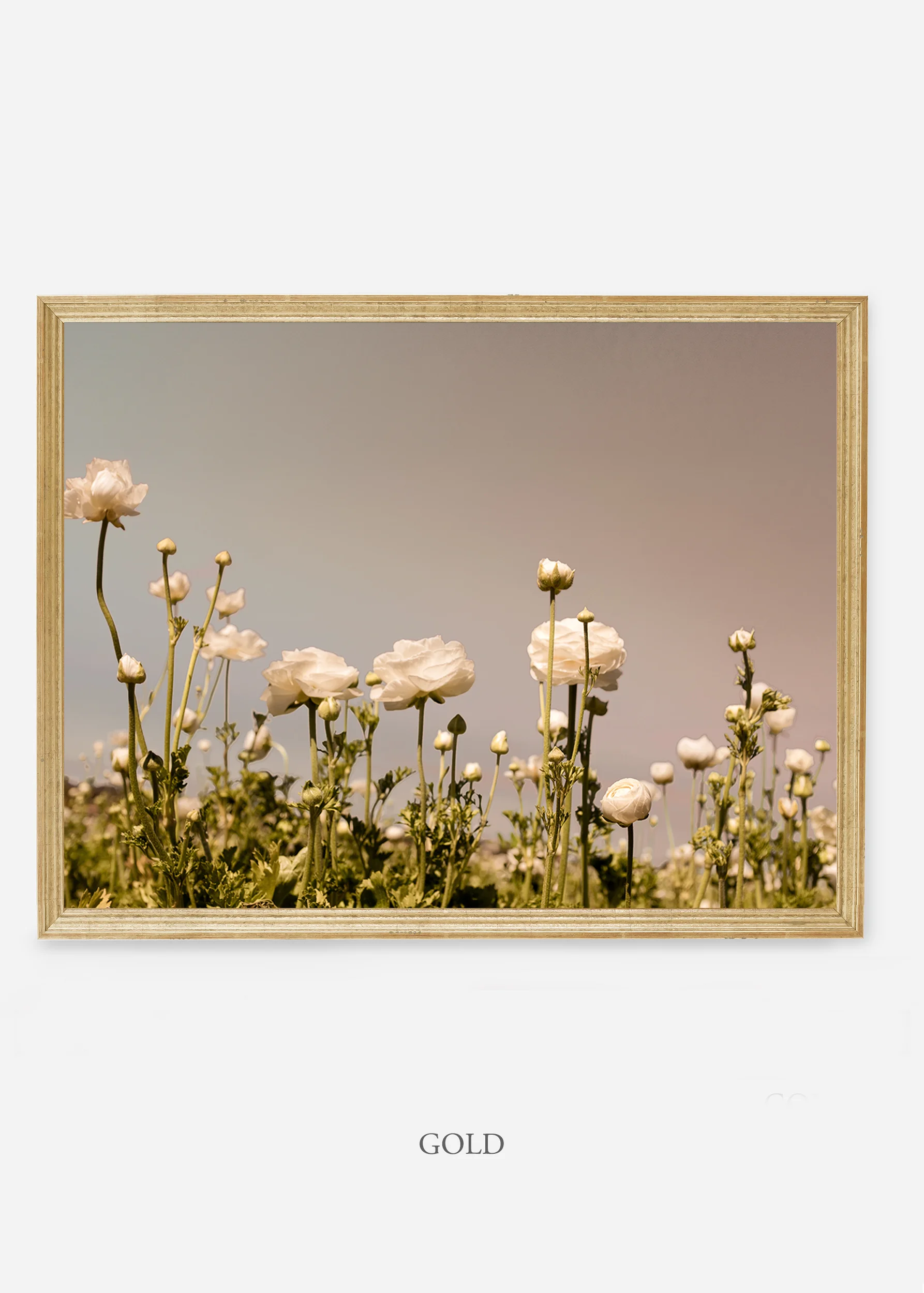 wilder-california-flora-botanical-fine-art-print.jpg