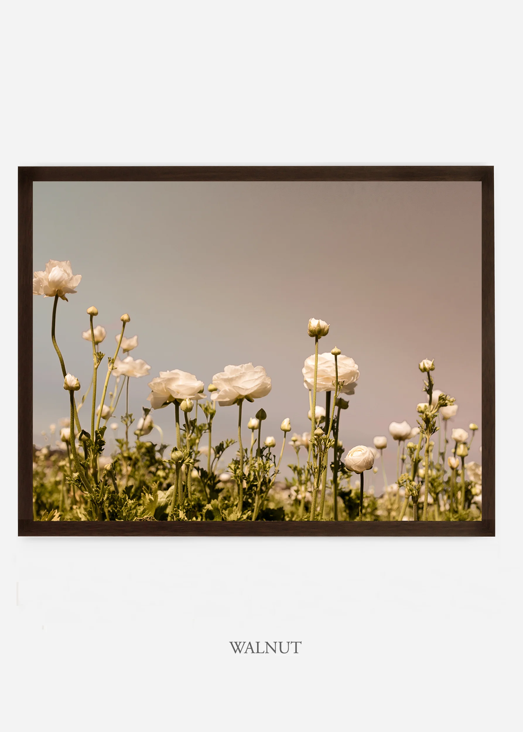 wilder-california-flora-botanical-fine-art-print.jpg
