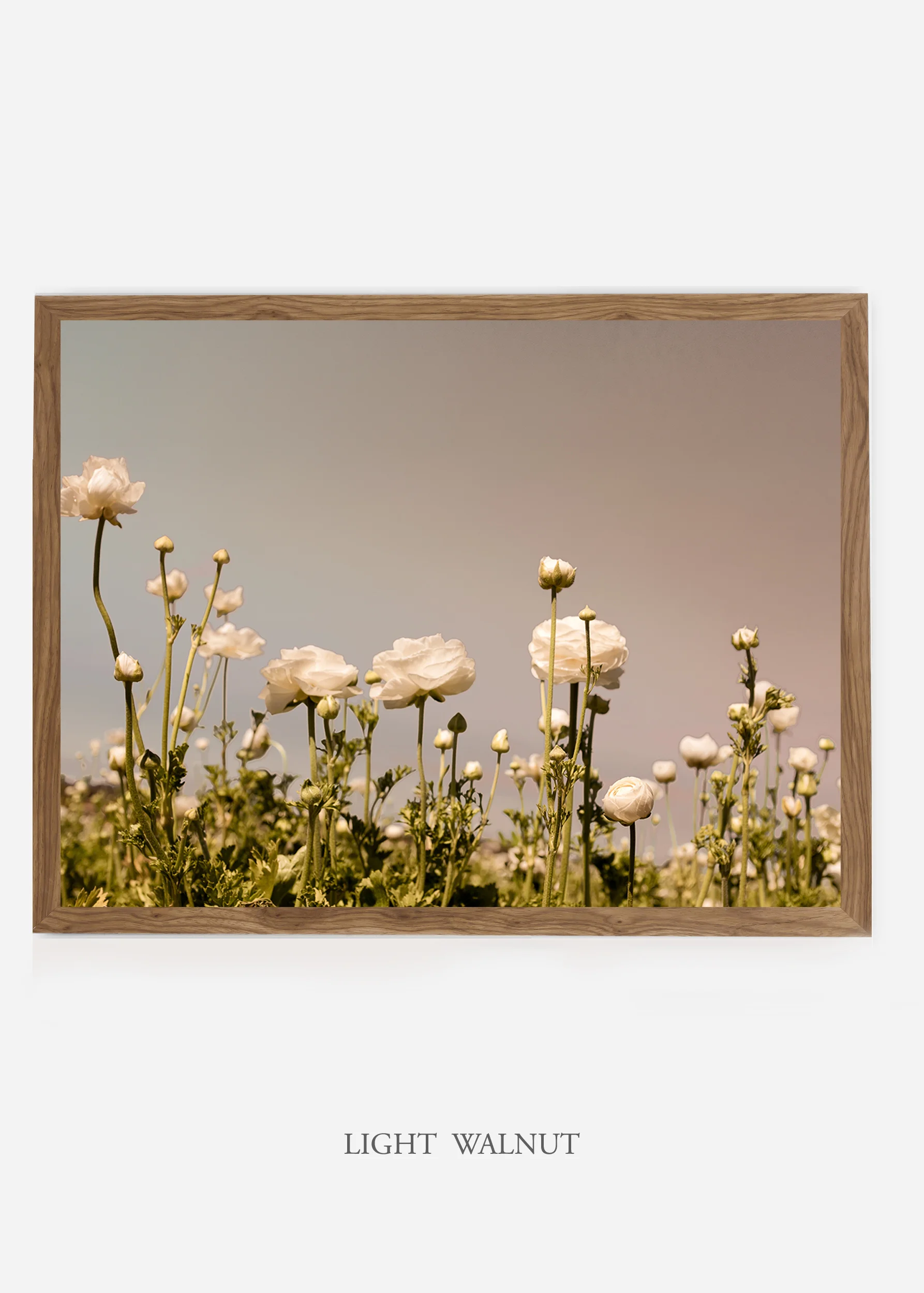 wilder-california-flora-botanical-fine-art-print.jpg