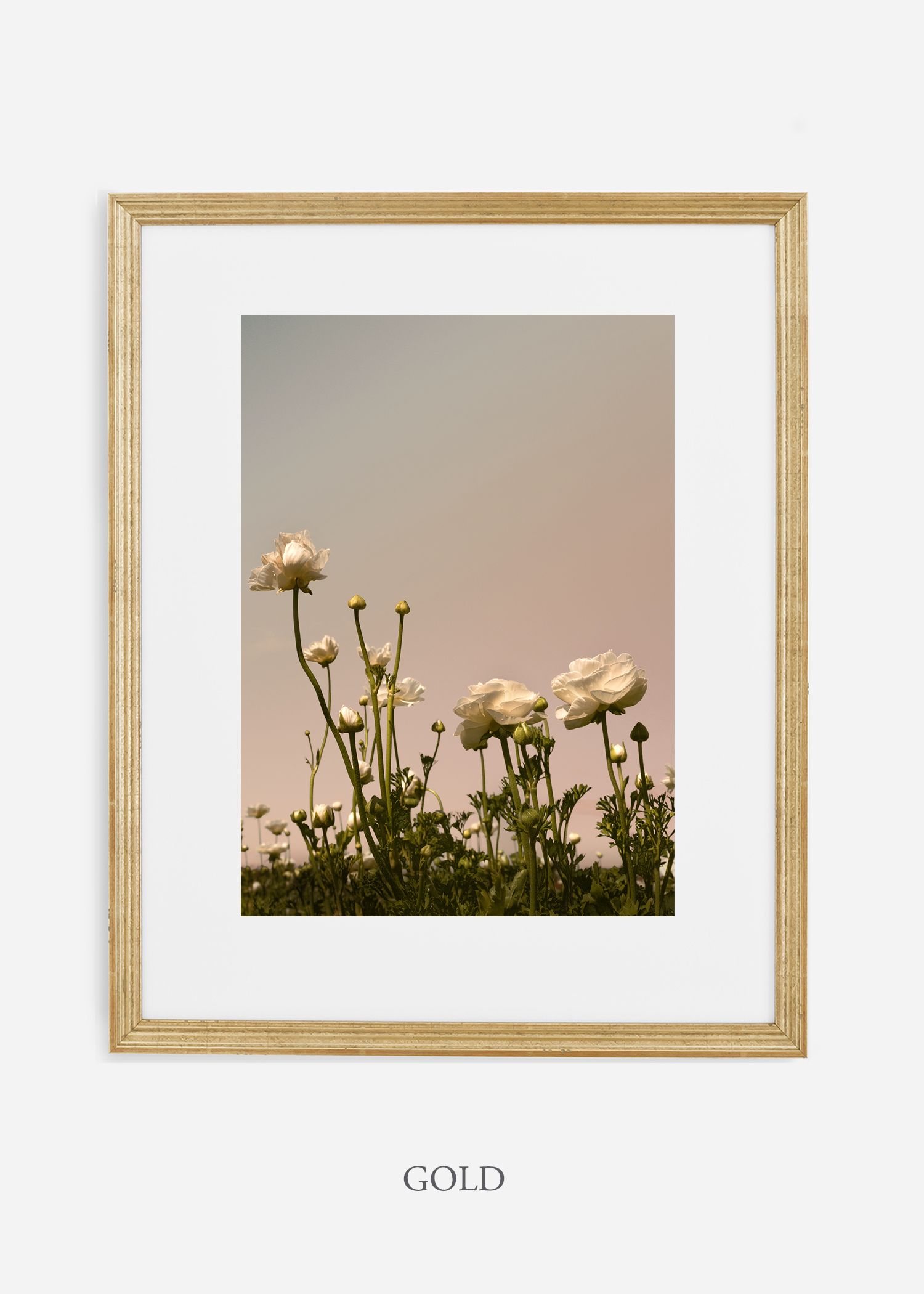 FloraNo.7-light-gold-frame_mat-interiordesign-botanicalprint-art.jpg