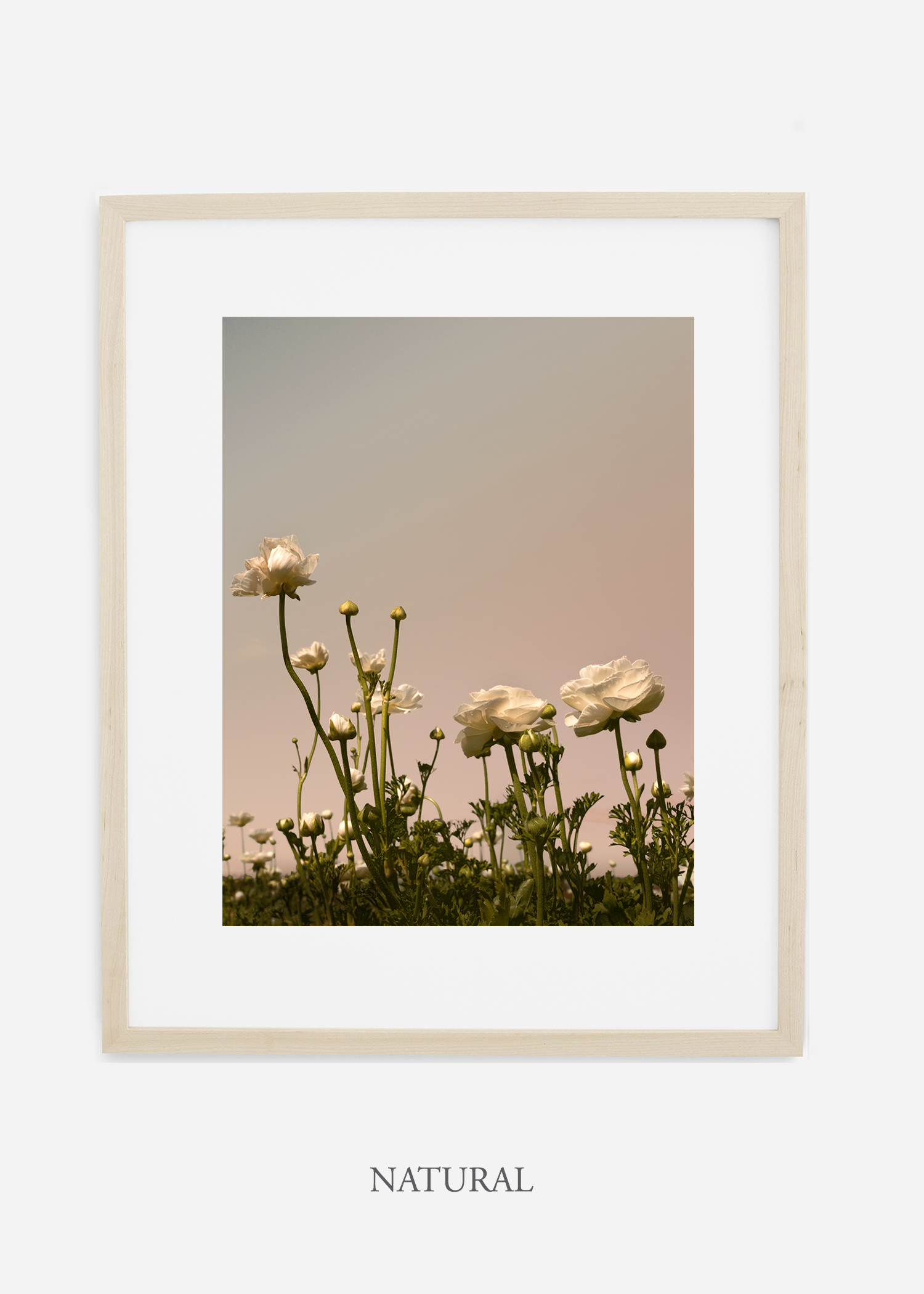 FloraNo.7-light-nautral-frame_mat-interiordesign-botanicalprint-art.jpg