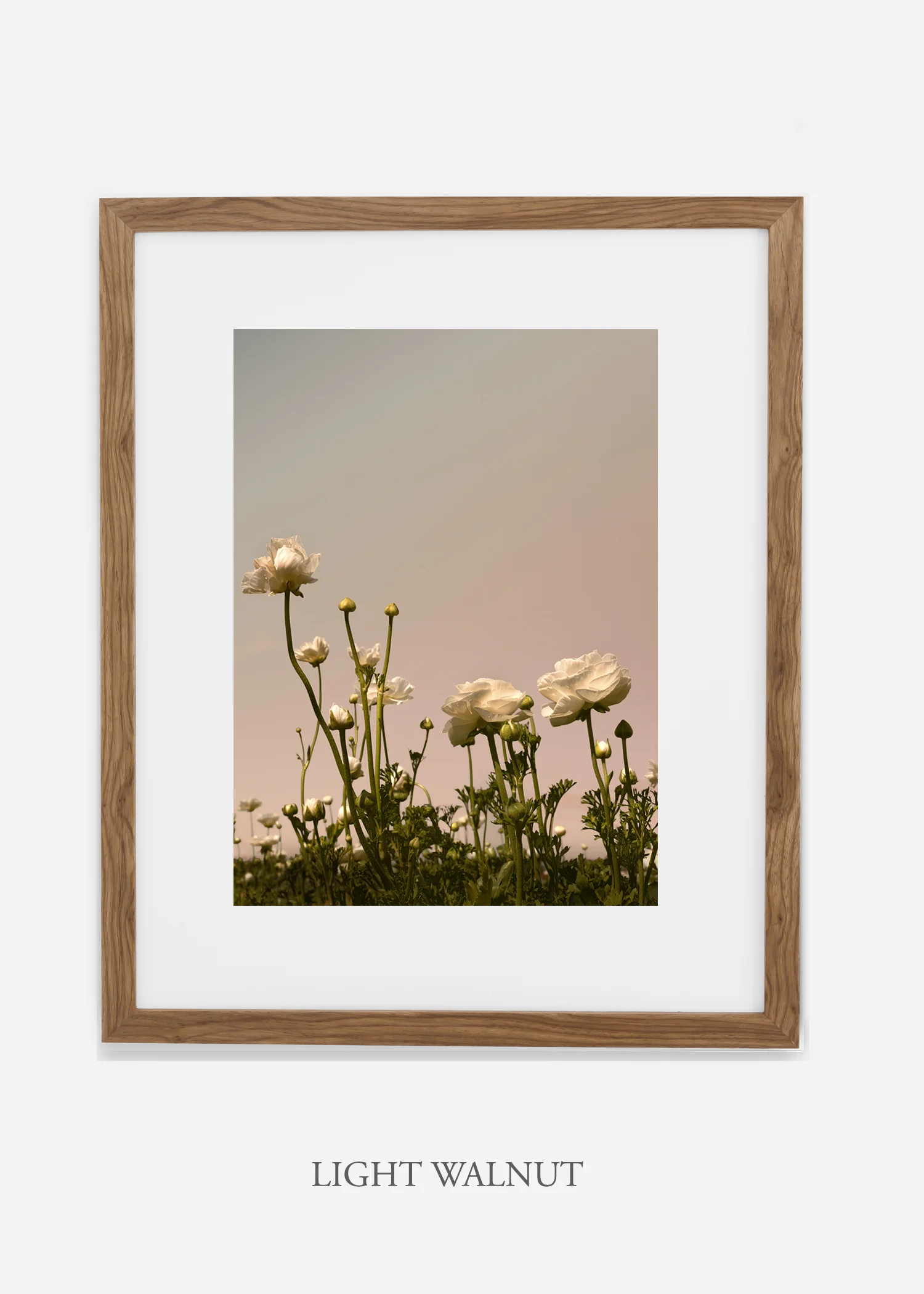 wilder-california-flora-botanical-fine-art-print.jpg
