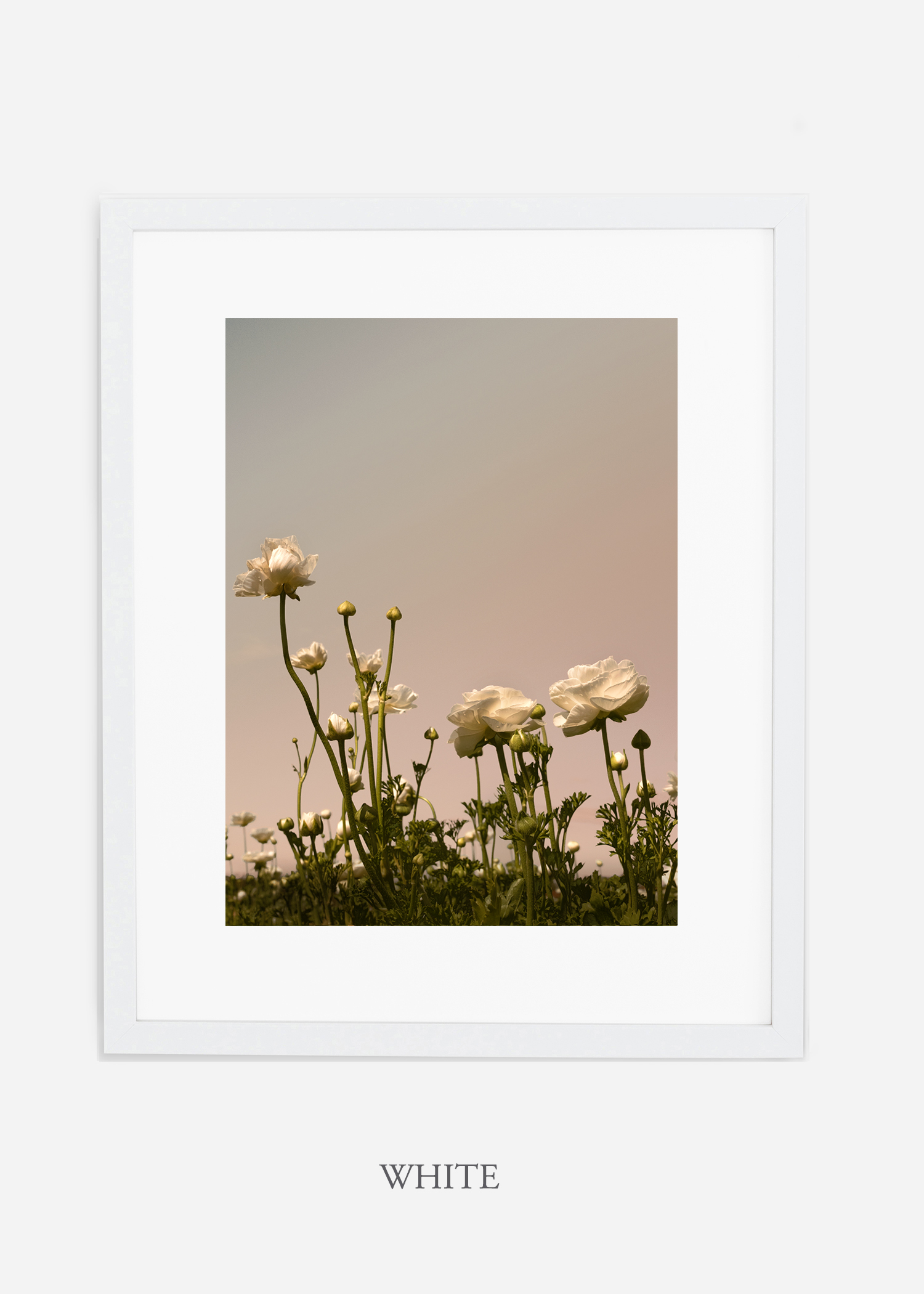 FloraNo.7-white-frame_mat-interiordesign-botanicalprint-art.jpg