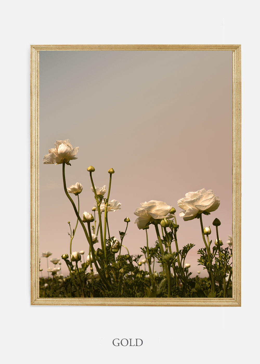 NoMat-Gold-Frame-Floral-No-7-Wilder-California-Art-Floral-Home-decor-Prints-Dahlia-Botanical-Artwork-Interior-design.jpg