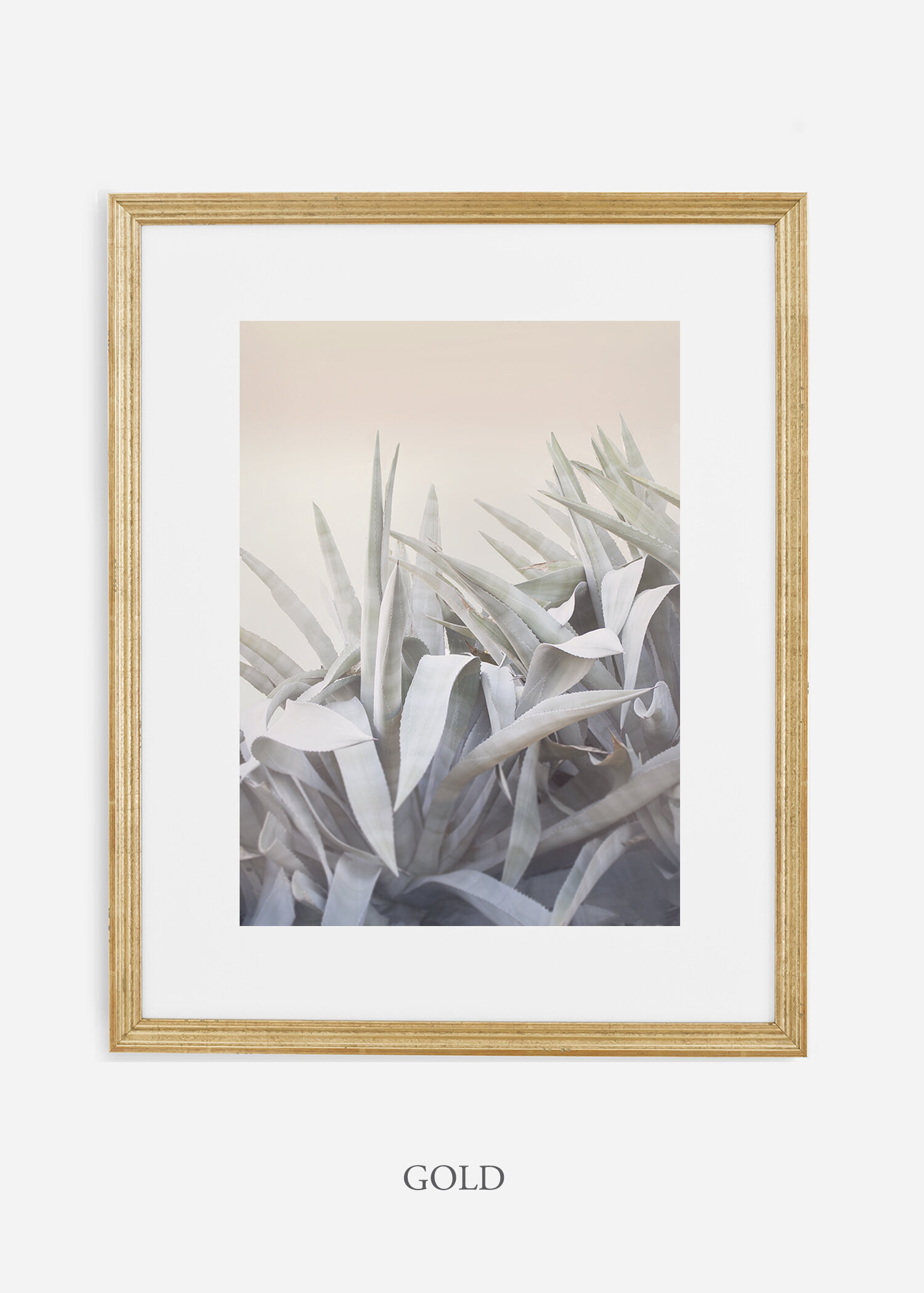 WilderCalifornia-photography-wall-art-agave-gold-frame.jpg