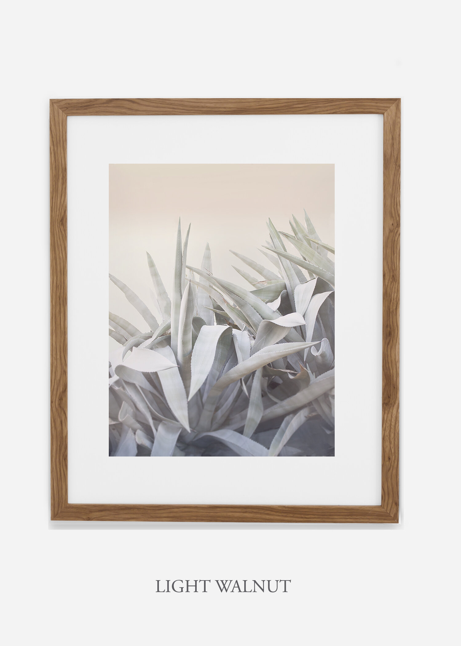 WilderCalifornia-photography-wall-art-agave-light-walnut-frame.jpg