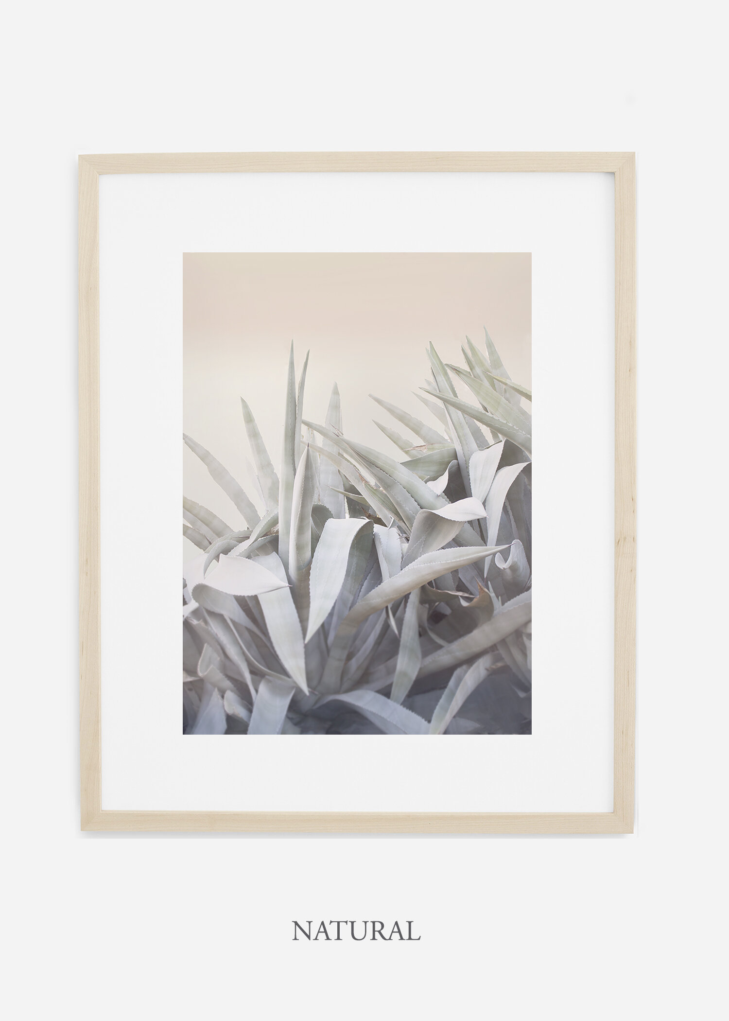 WilderCalifornia-photography-wall-art-agave-natural-frame.jpg