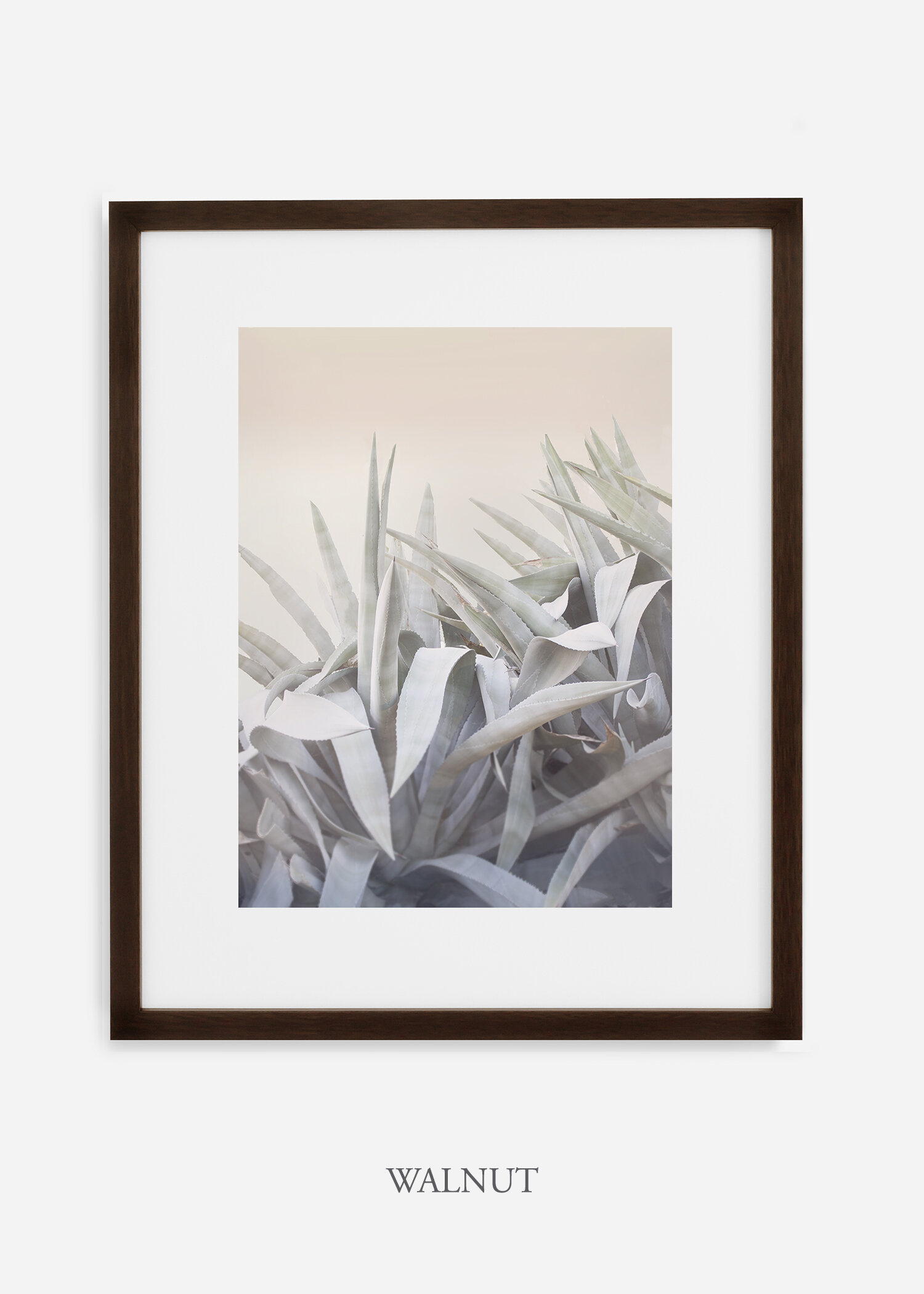 WilderCalifornia-photography-wall-art-agave-walnut-frame.jpg