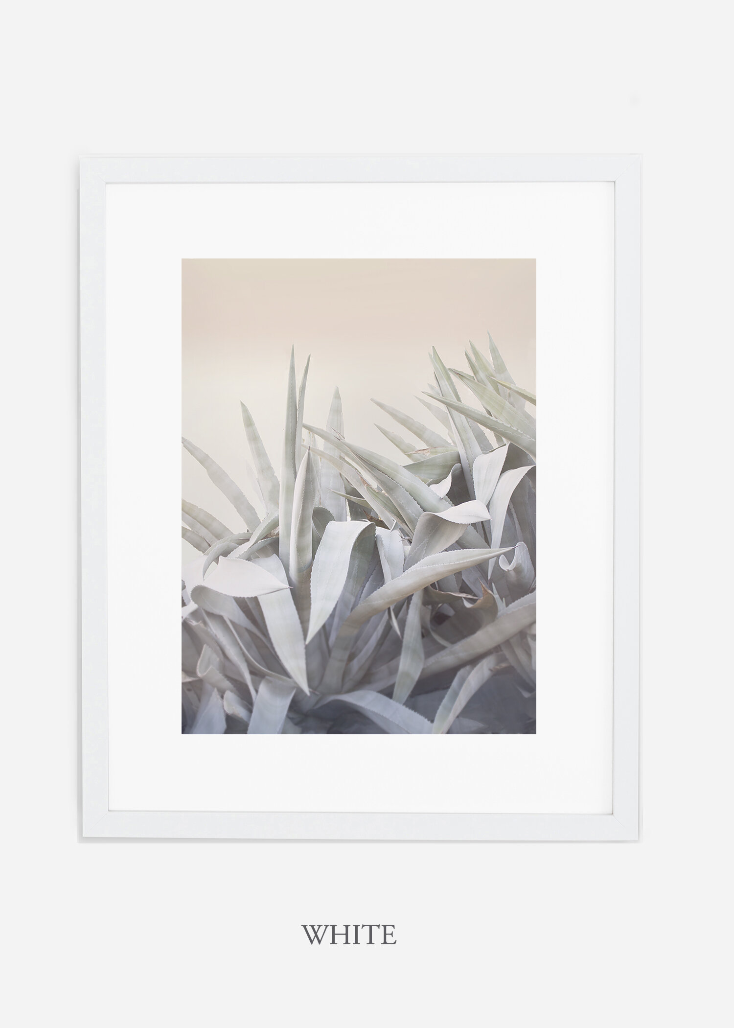 WilderCalifornia-photography-wall-art-agave-white-frame.jpg