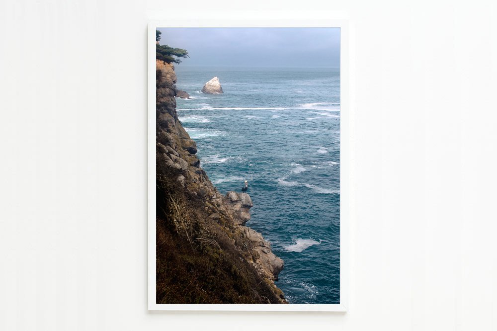 wilder-california-coastal-pelican-wall-art-vertical-white-no-mat.jpg