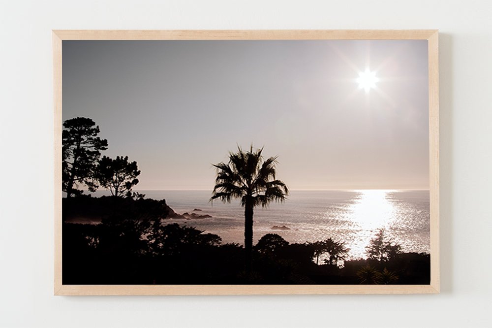 wilder-california-coastal-pelican-wall-art-natural-frame-no-mat.jpg