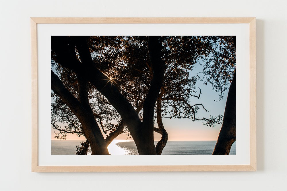 wilder-california-coastal-pelican-wall-art-natural-frame-mat.jpg