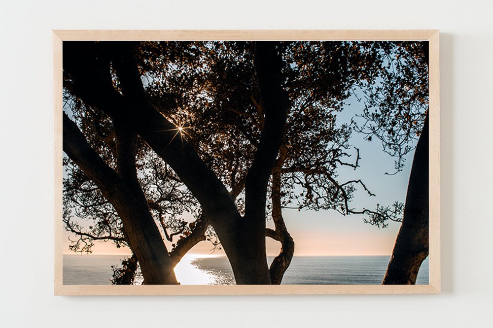 wilder-california-coastal-pelican-wall-art-natural-frame-no-mat.jpg
